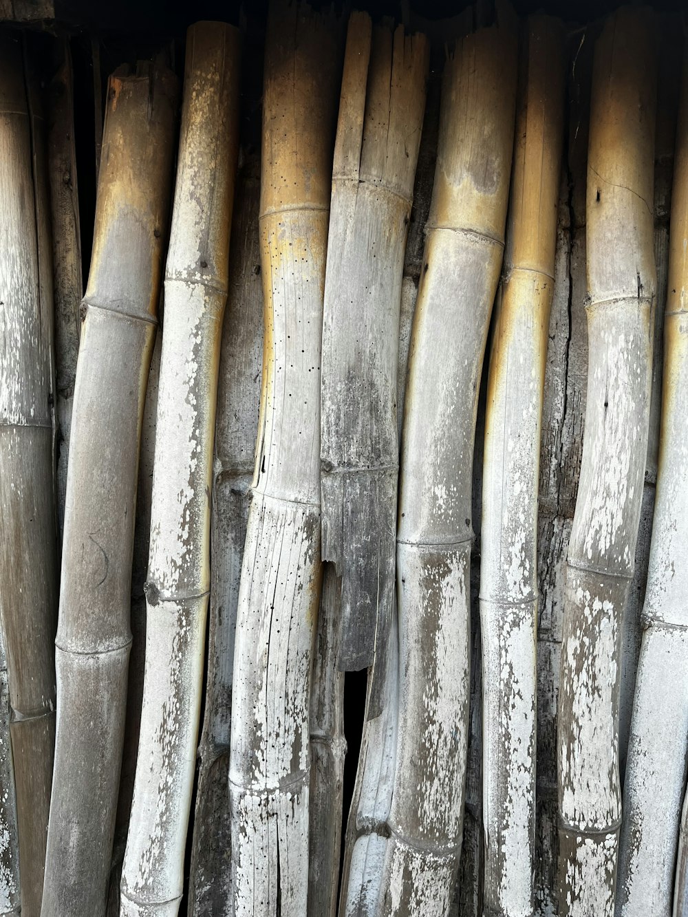 a close up of a bunch of bamboo sticks