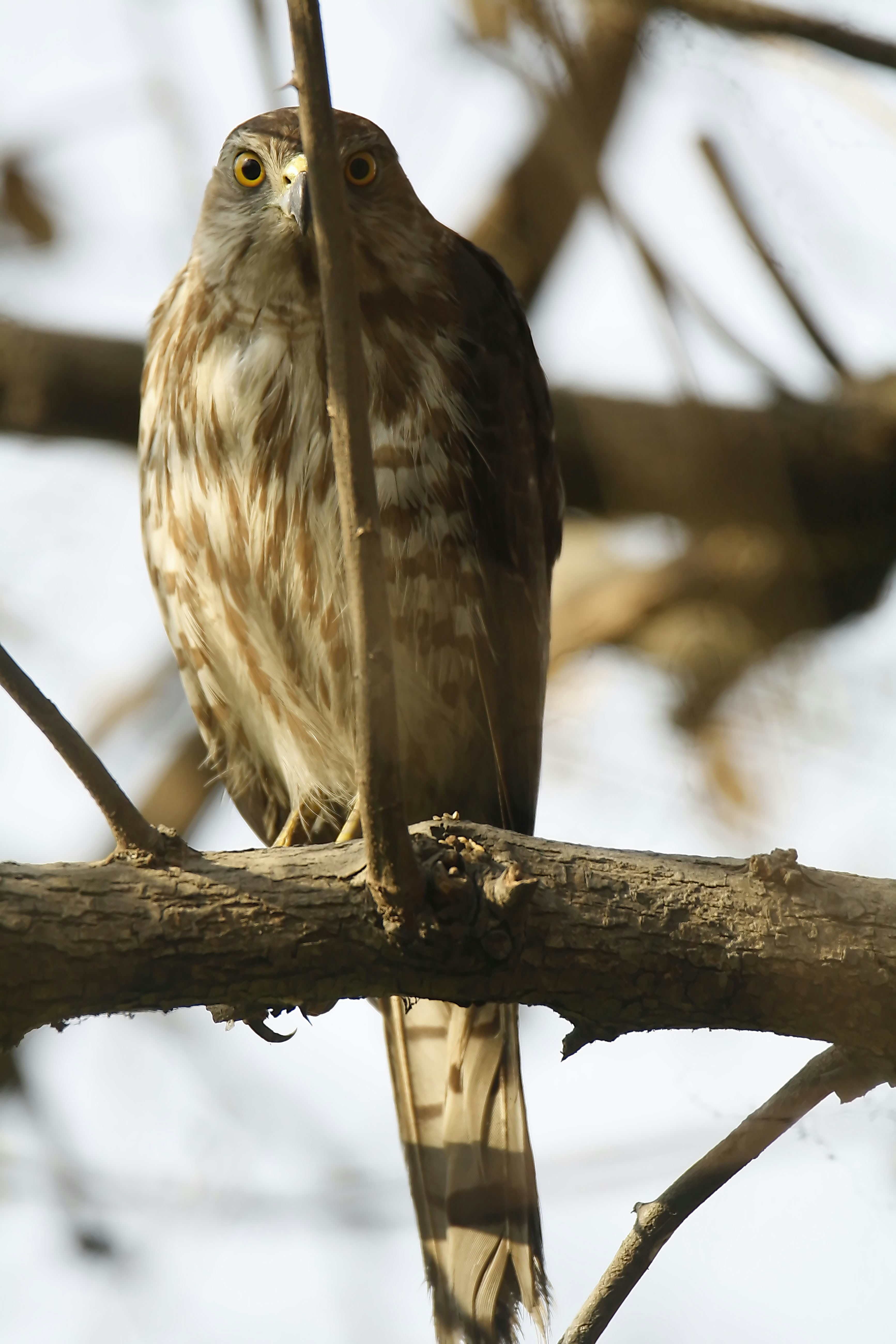 Photo by sylvester_123