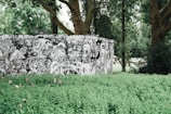 An outdoor scene featuring a vividly painted wall covered in intricate black and white graffiti art, depicting a multitude of surreal and cartoonish faces and creatures. The wall is surrounded by lush greenery, including grass and tall trees, creating a striking contrast between the monochrome art and colorful natural environment.