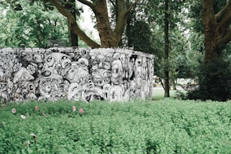 An outdoor scene featuring a vividly painted wall covered in intricate black and white graffiti art, depicting a multitude of surreal and cartoonish faces and creatures. The wall is surrounded by lush greenery, including grass and tall trees, creating a striking contrast between the monochrome art and colorful natural environment.