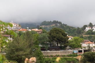 A scenic view of Mallorca Village showcasing its beautiful residential architecture.