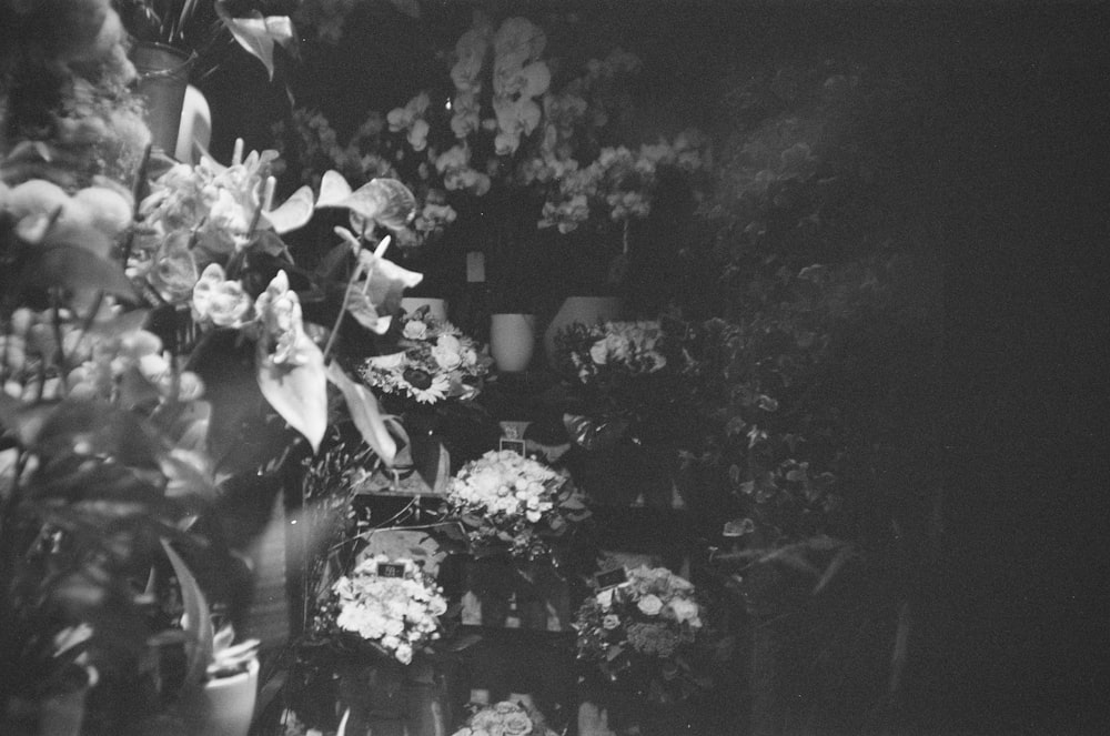 a black and white photo of flowers in vases