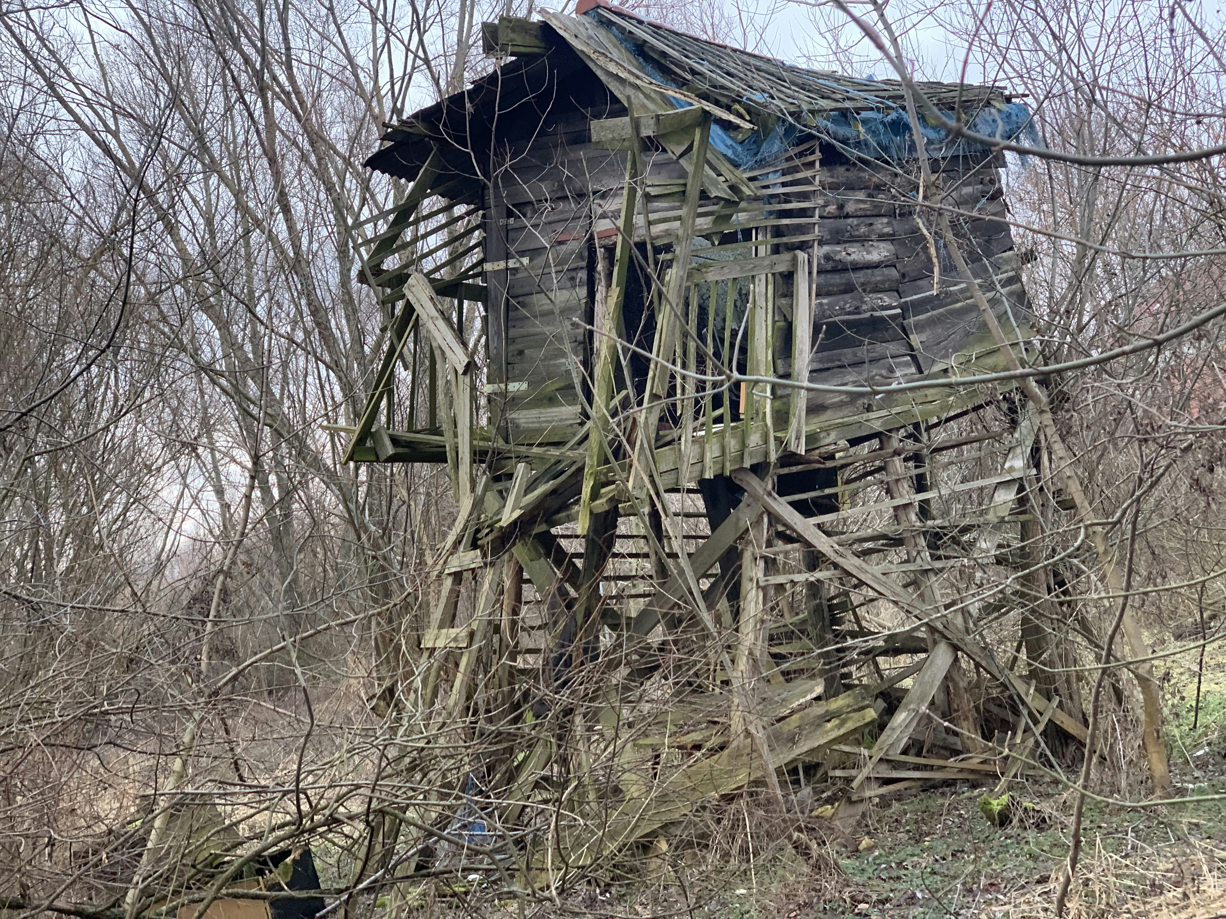 a run down wooden house in the woods