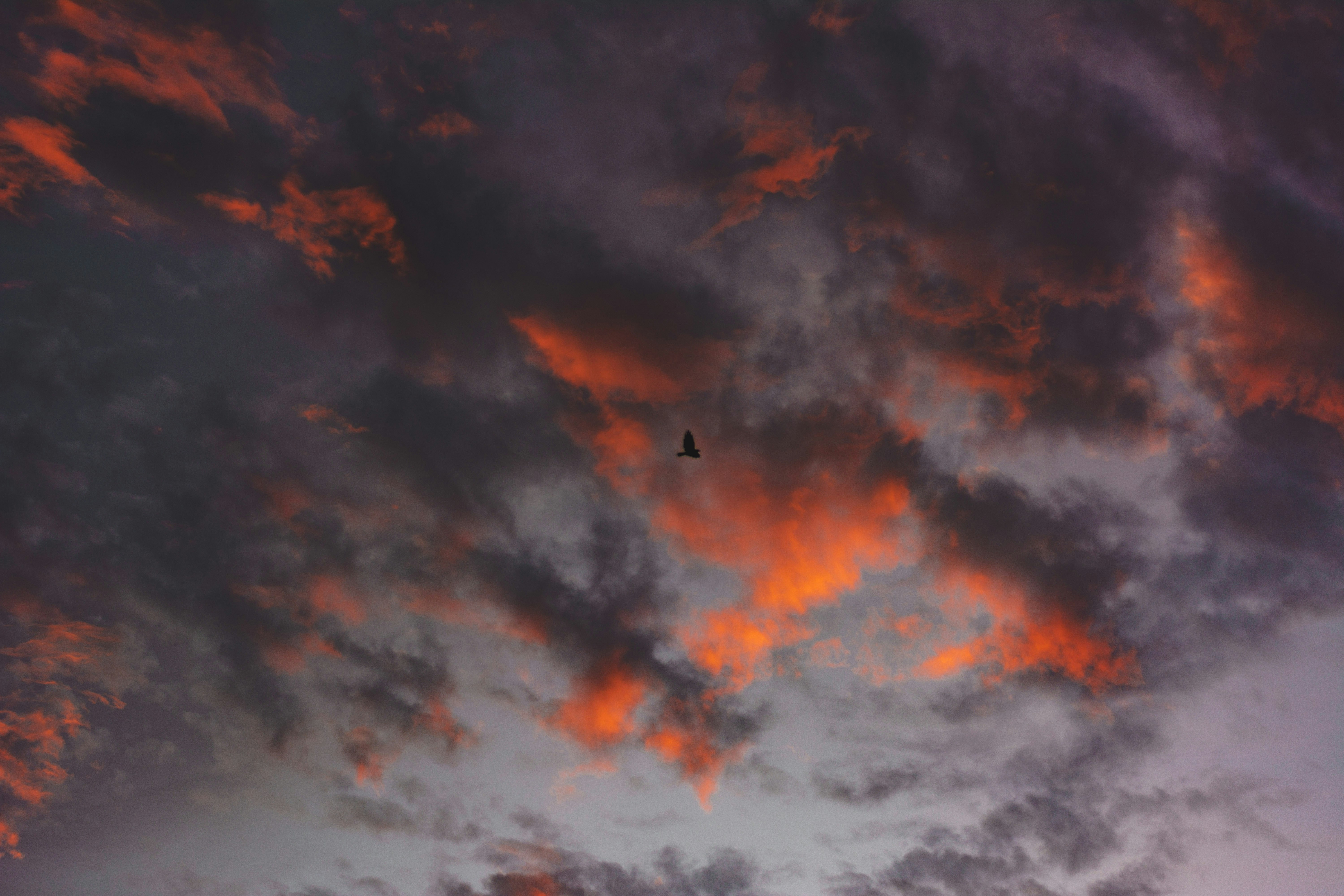 Photo by miguel_ind0