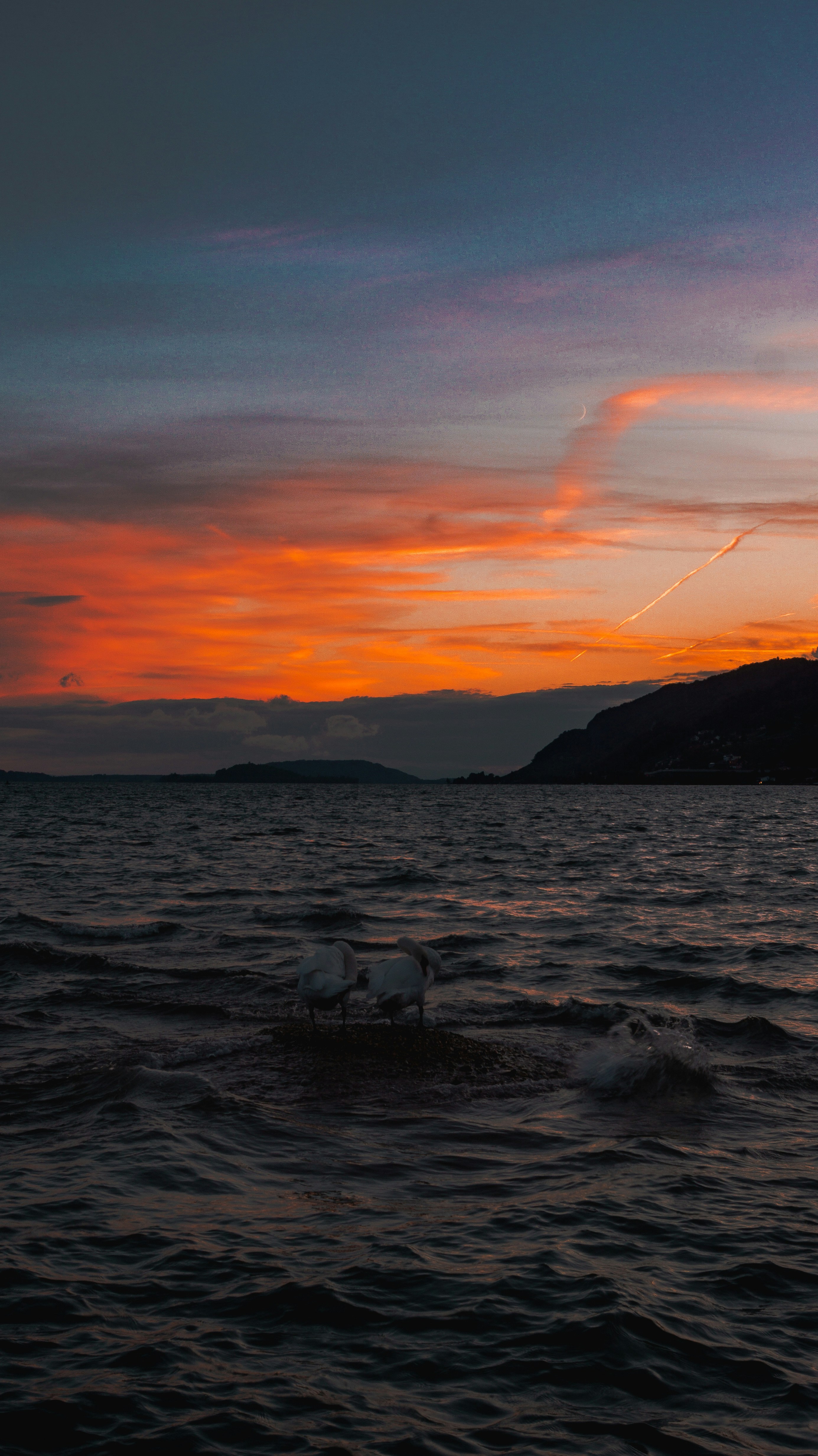 Photo by miguel_ind0