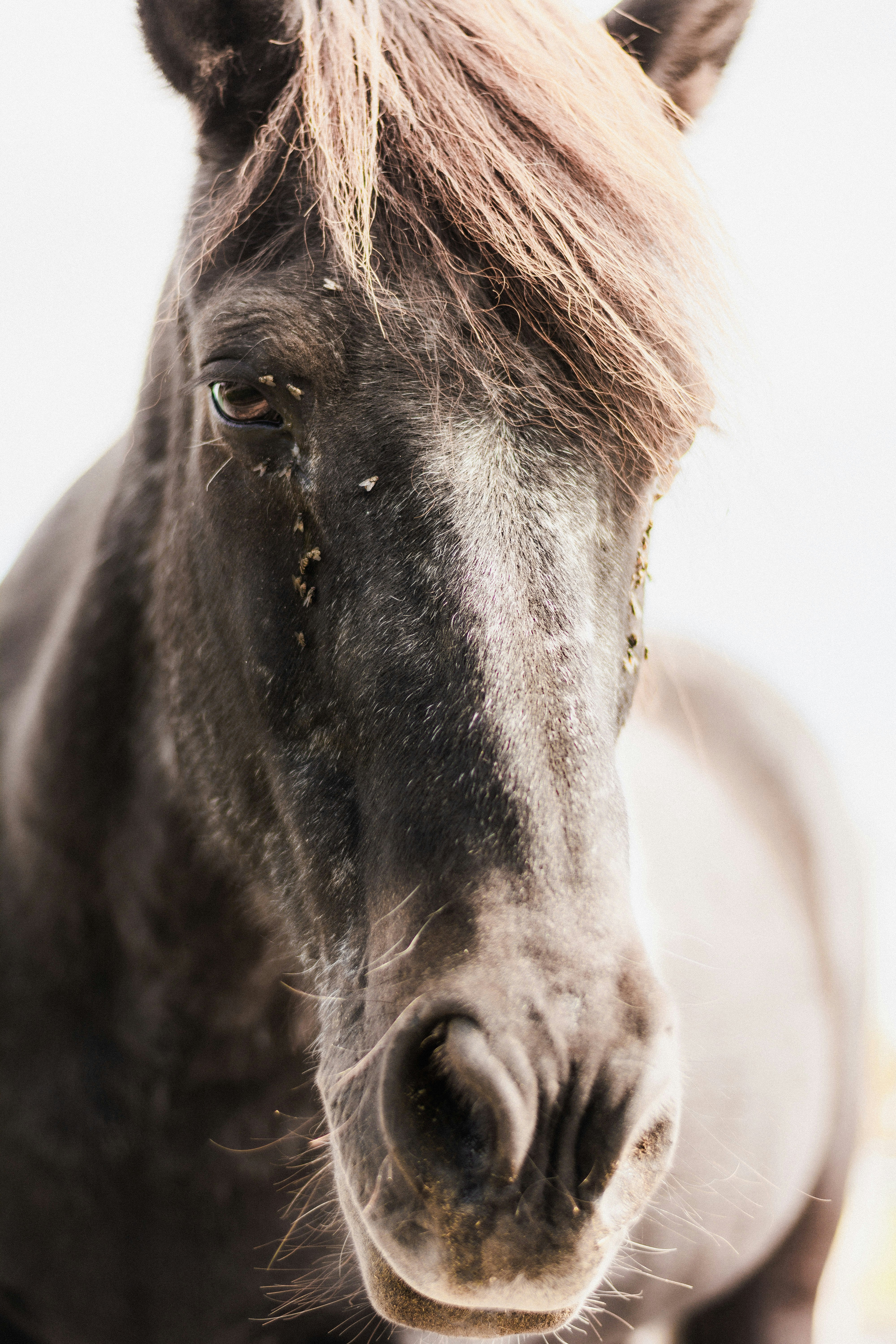 Photo by miguel_ind0