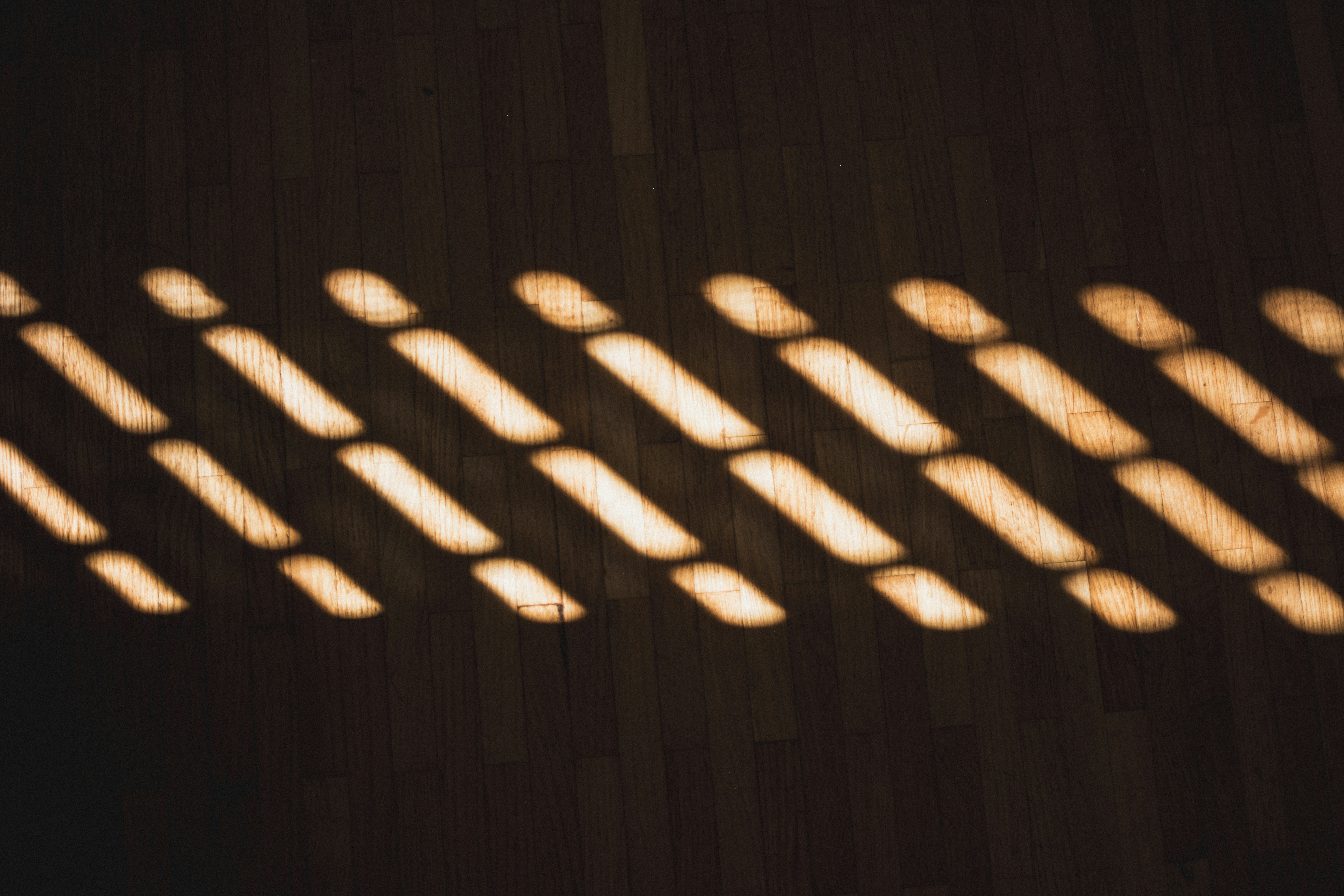 Photo by miguel_ind0