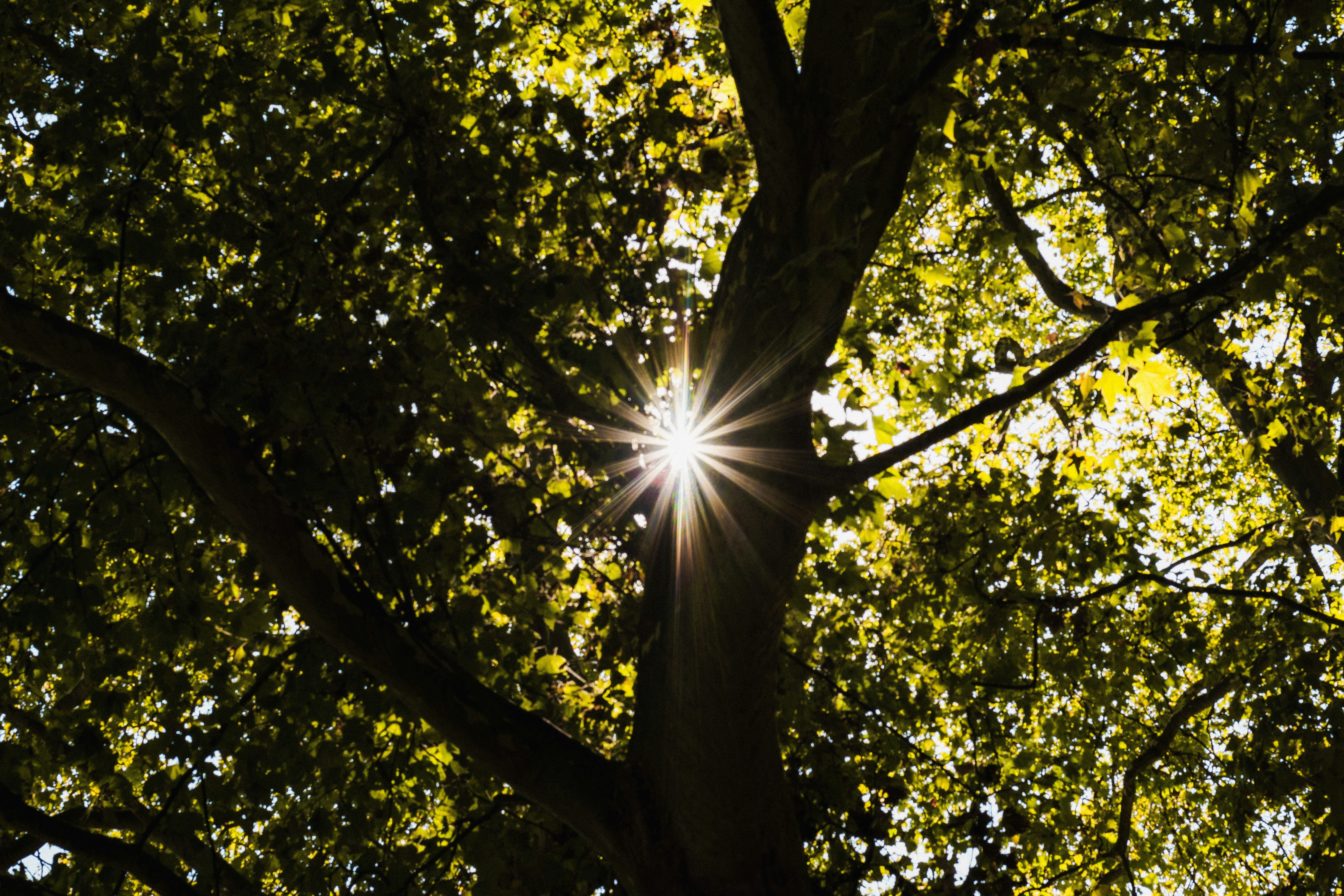 Photo by miguel_ind0