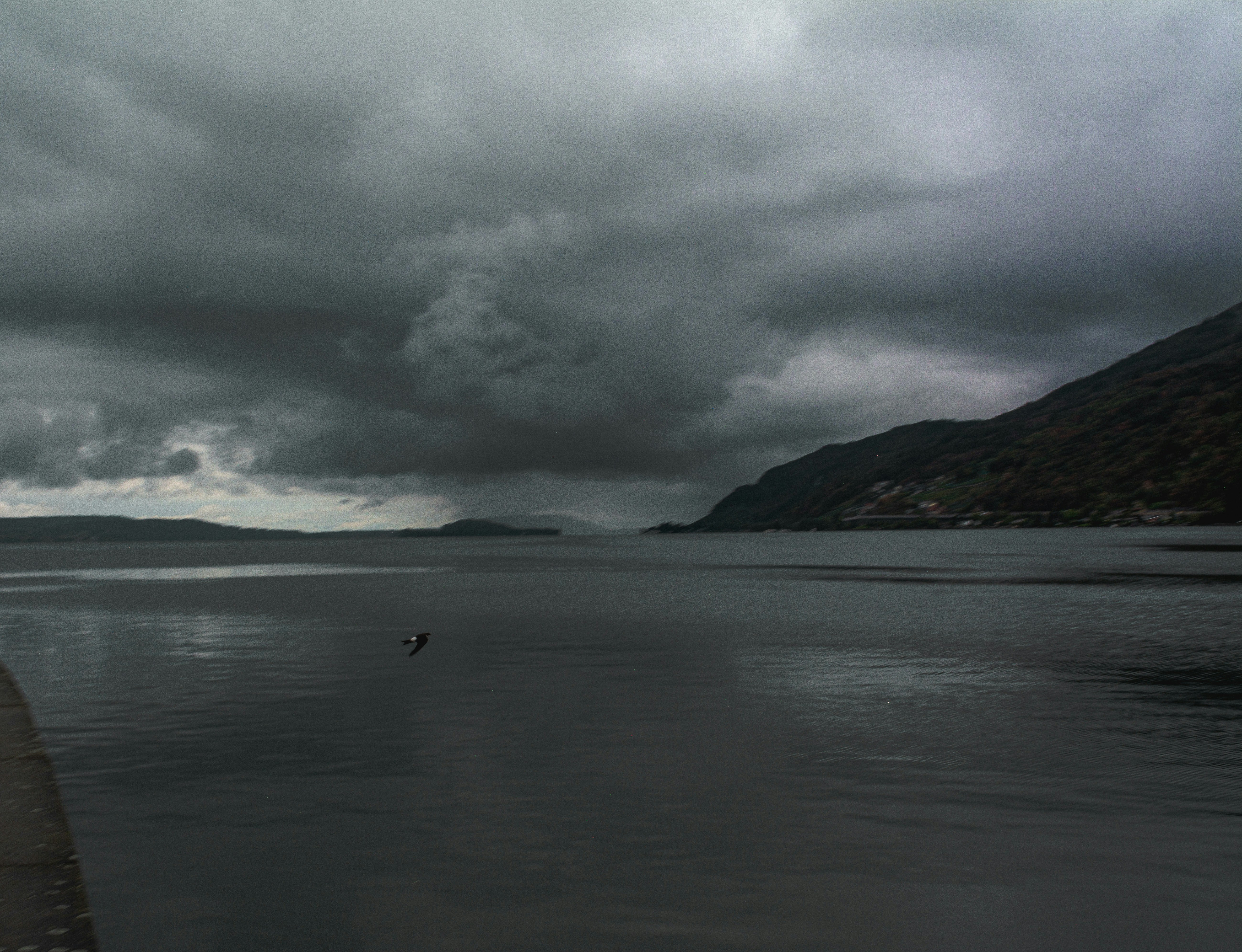 Photo by miguel_ind0