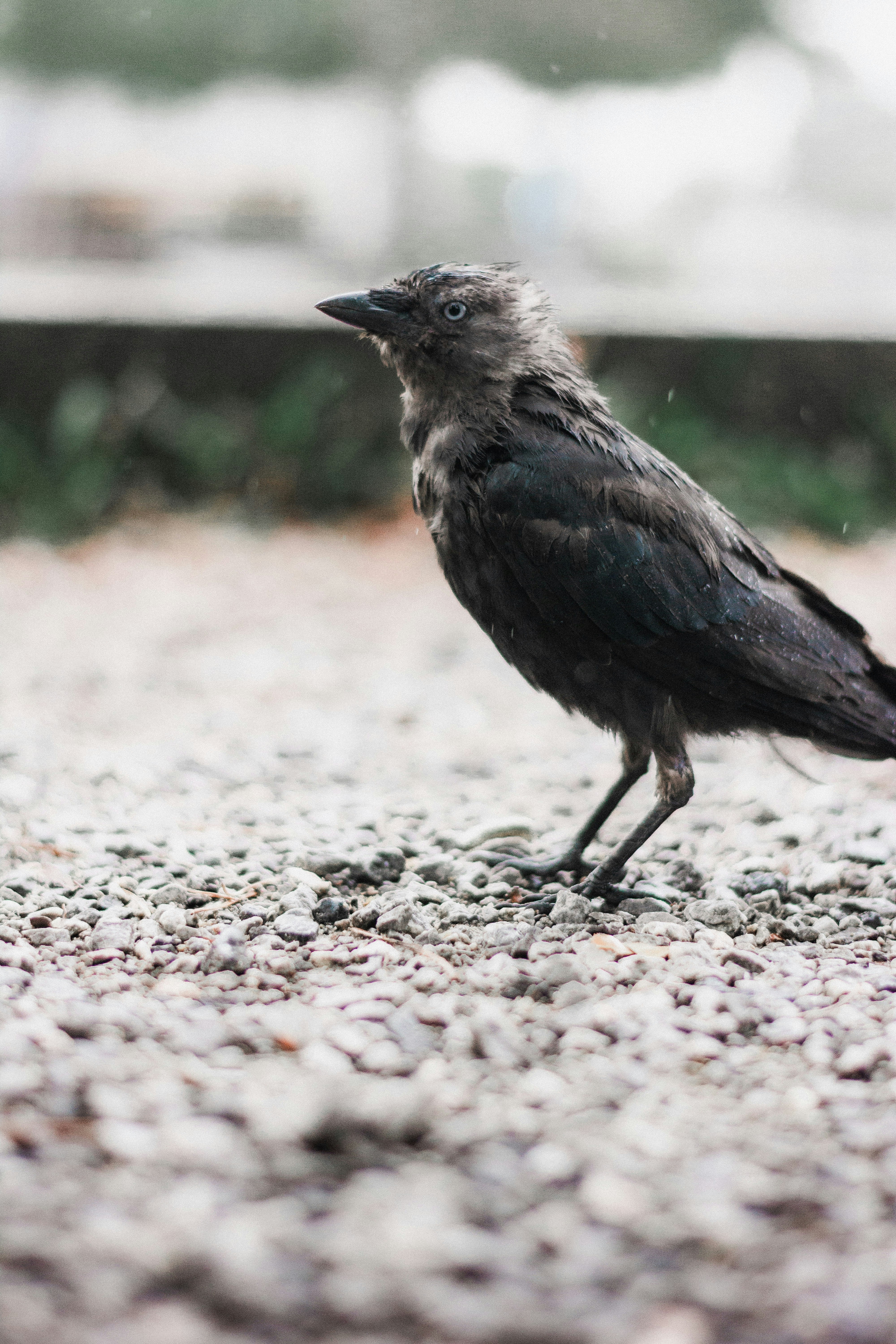 Photo by miguel_ind0