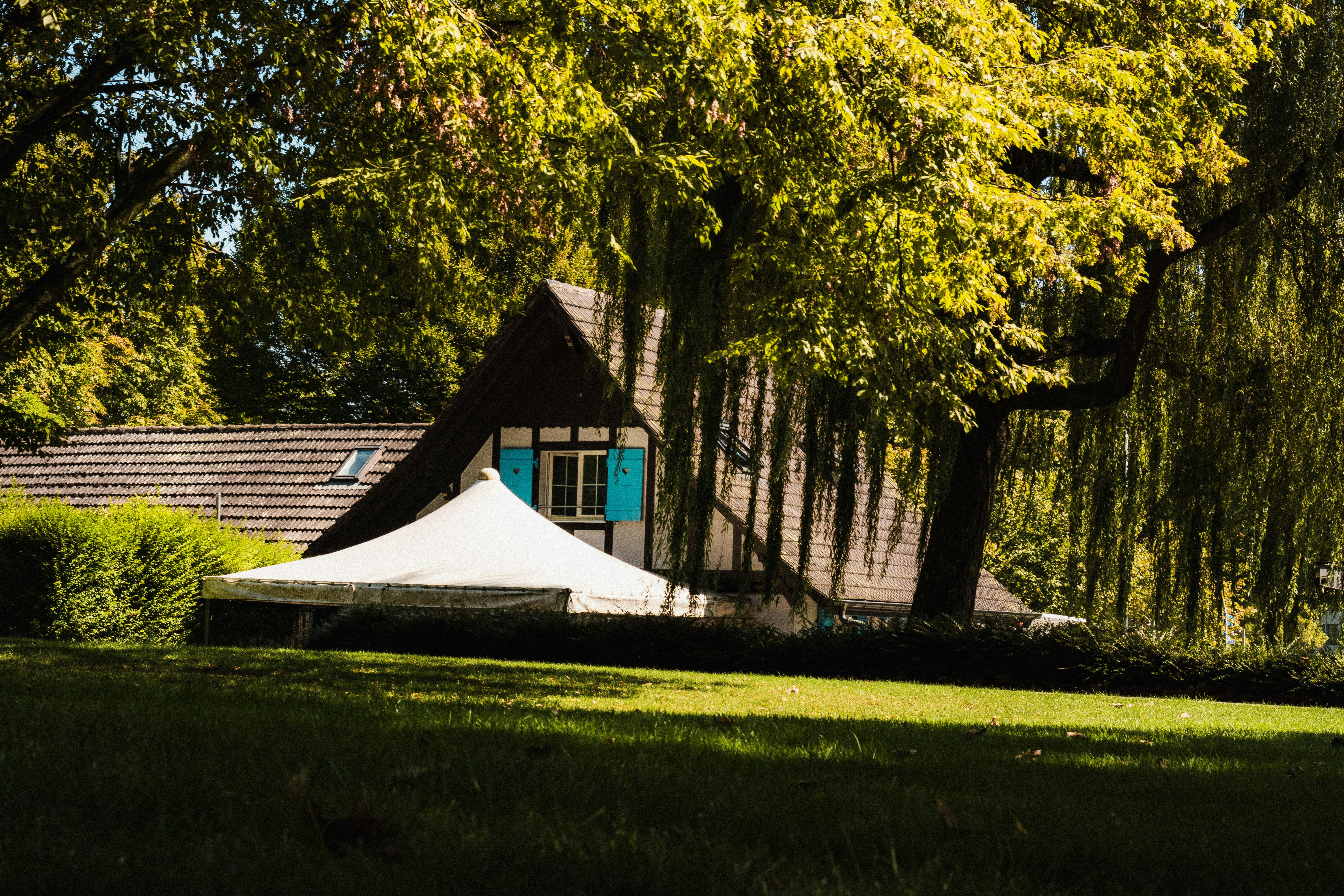 Photo by miguel_ind0