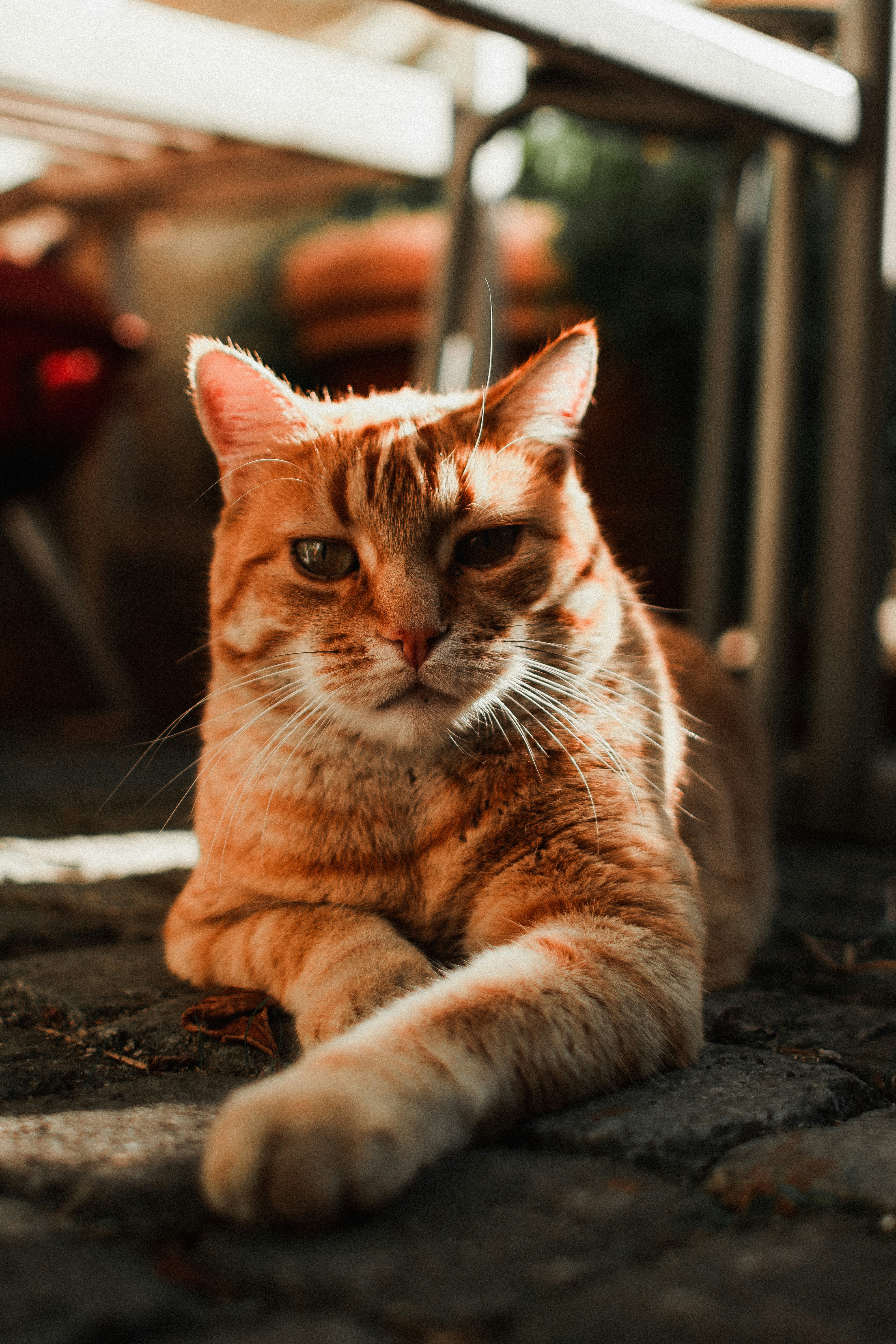 Photo by miguel_ind0