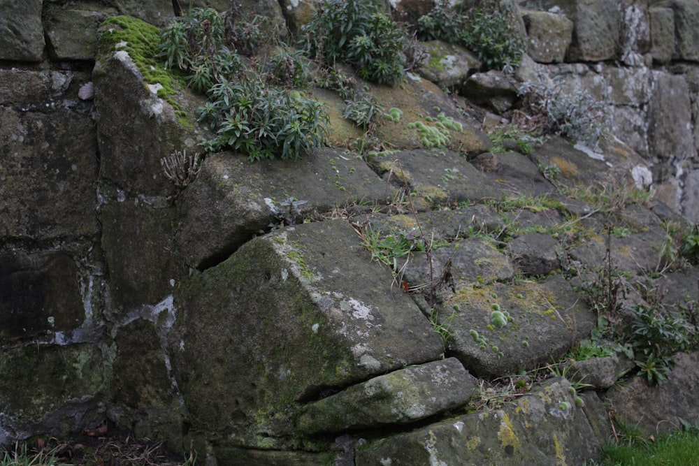 un muro de piedra con musgo creciendo en él