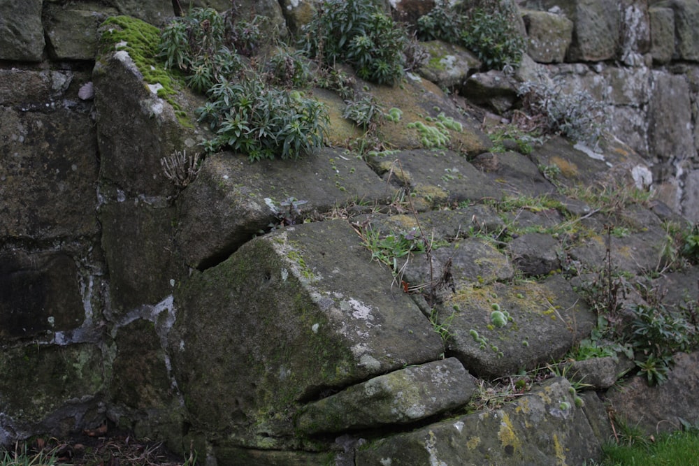 a stone wall with moss growing on it