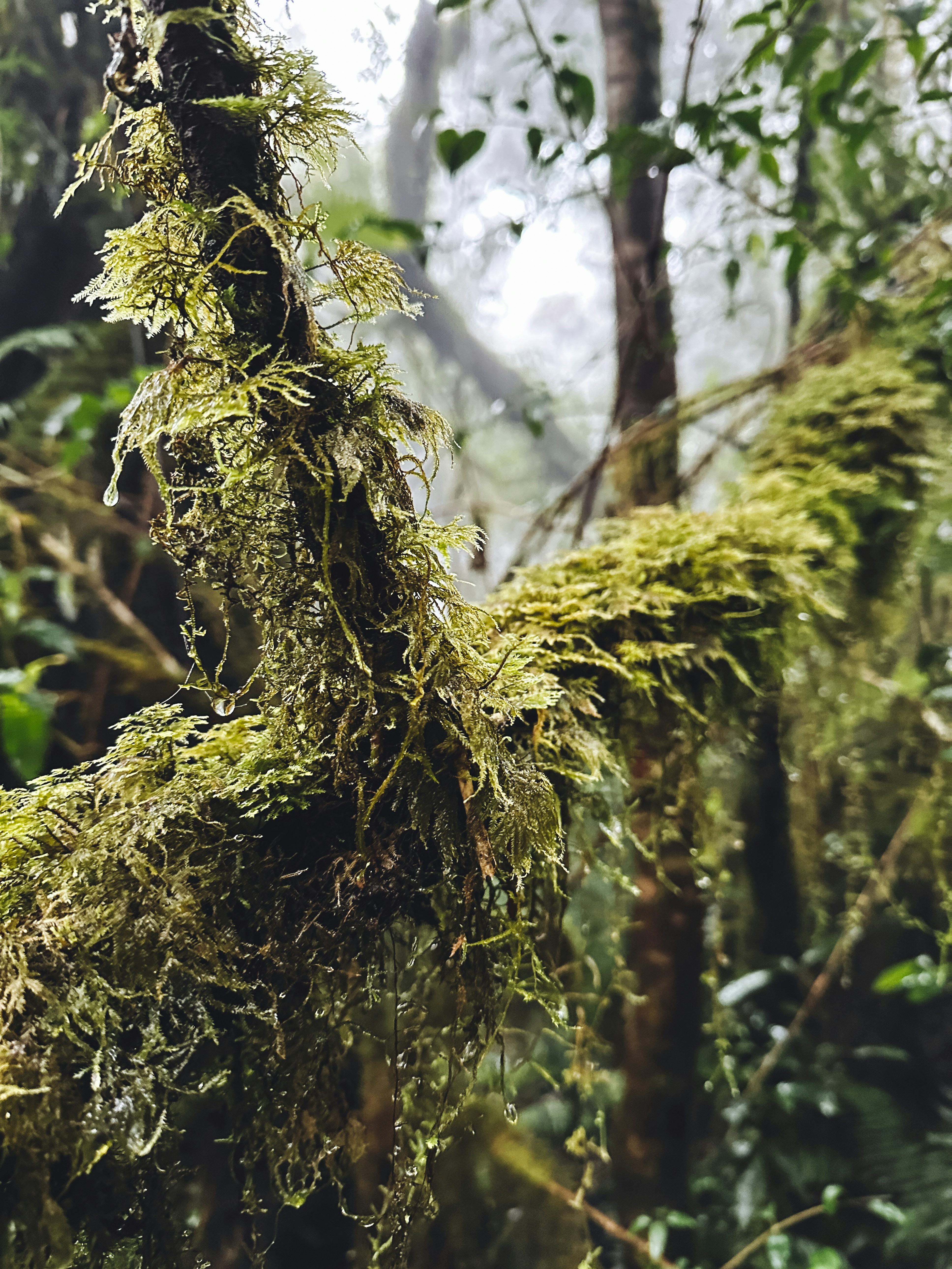 Photo by jason_nguyen