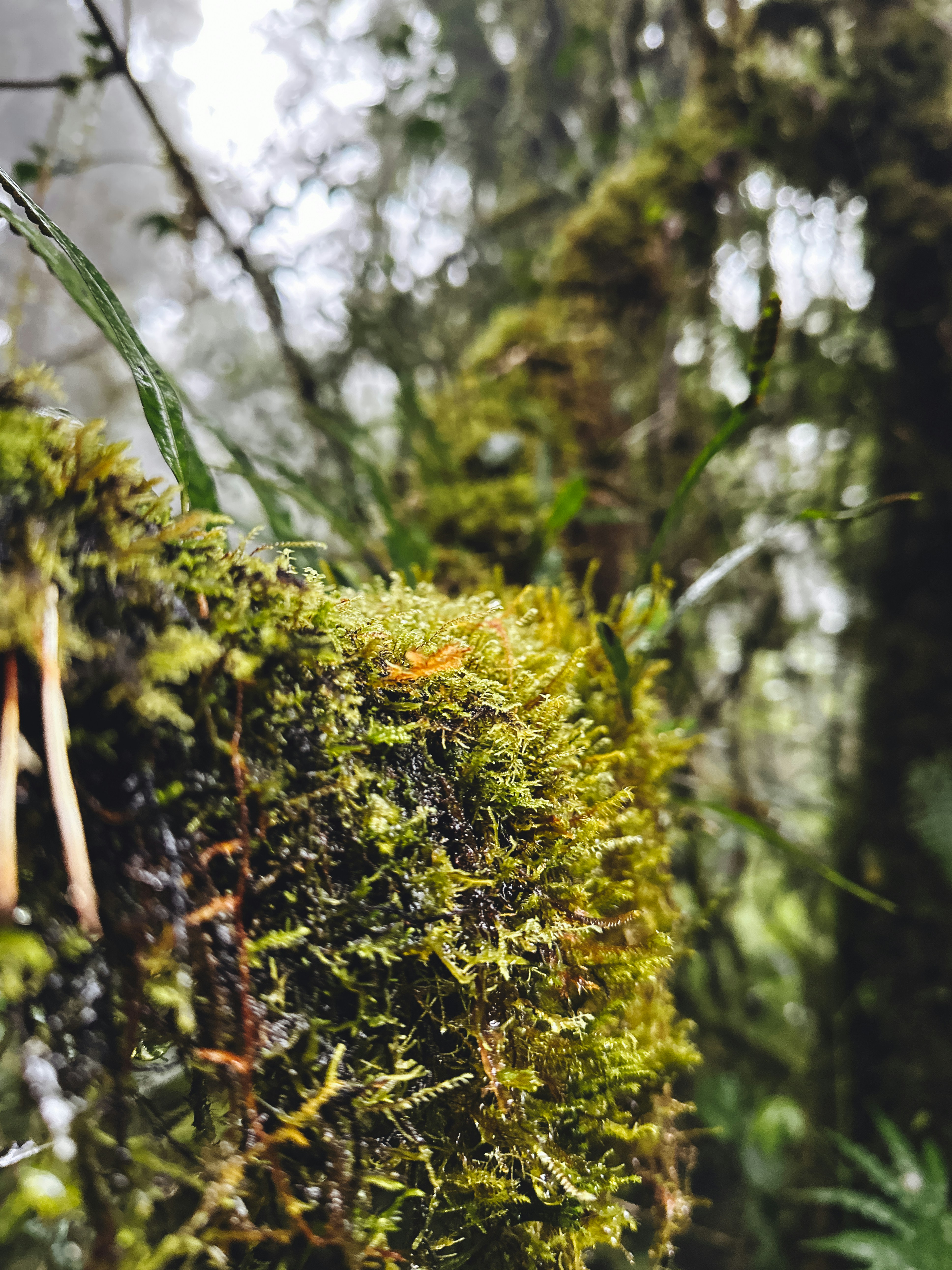 Photo by jason_nguyen