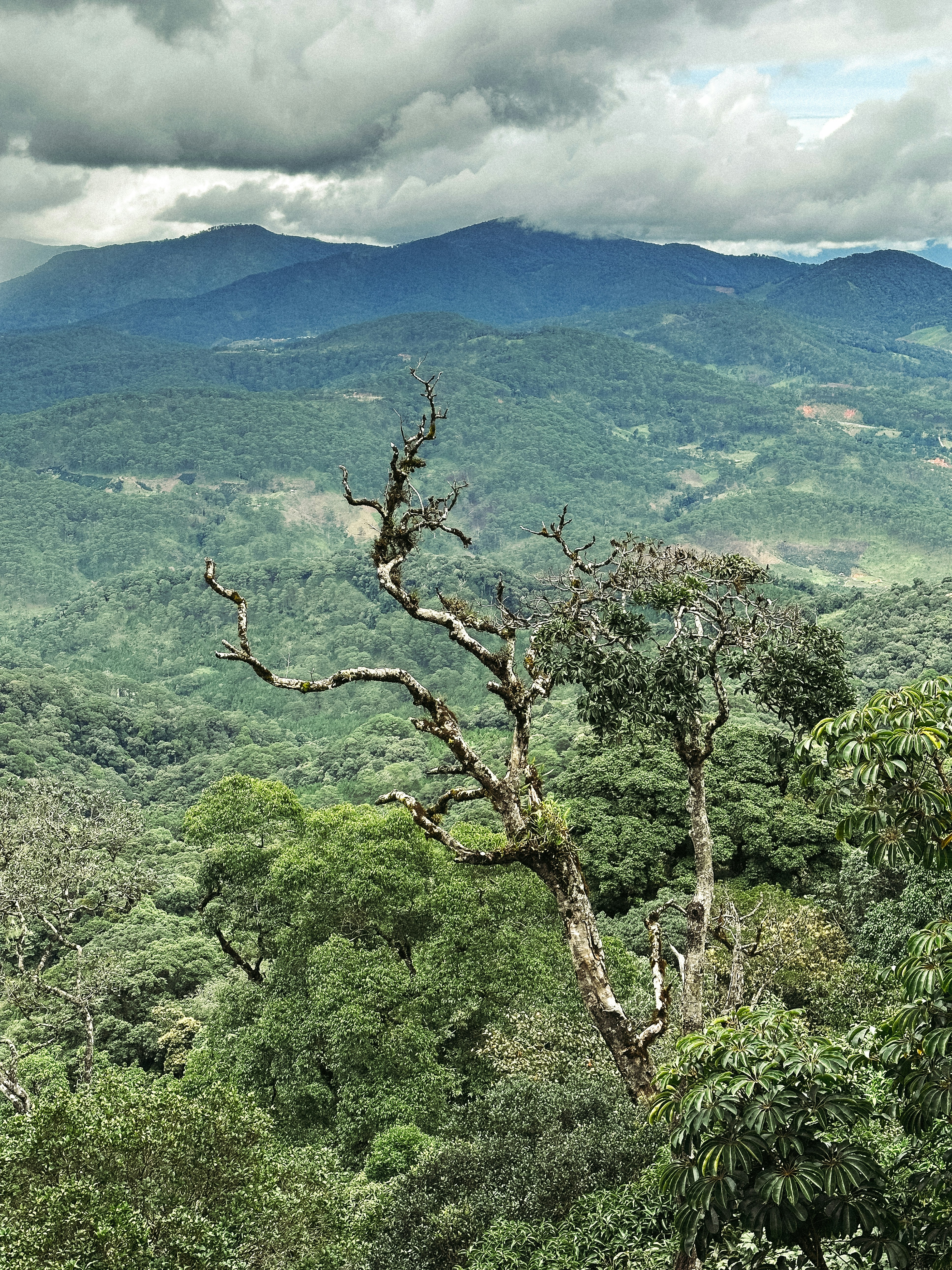 Photo by jason_nguyen