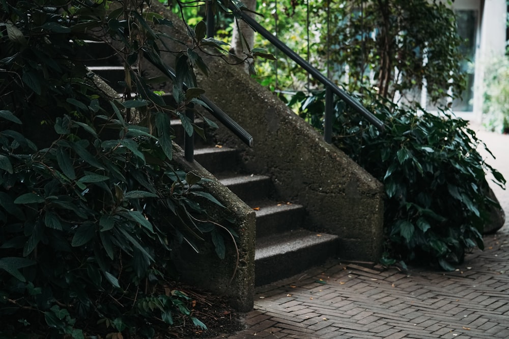 a set of stairs leading up to a building