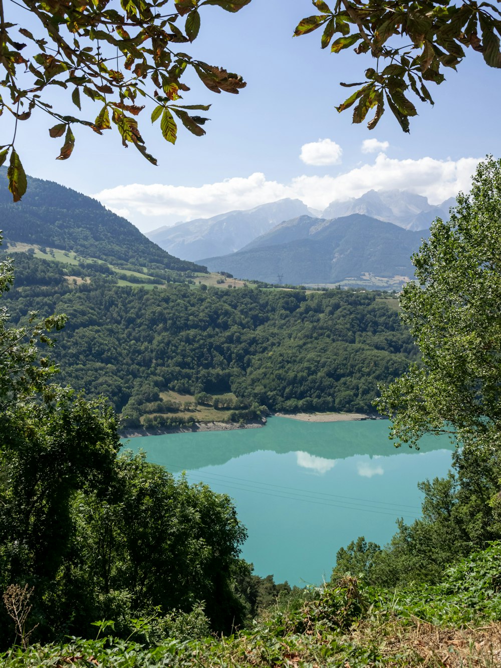 a large body of water surrounded by trees