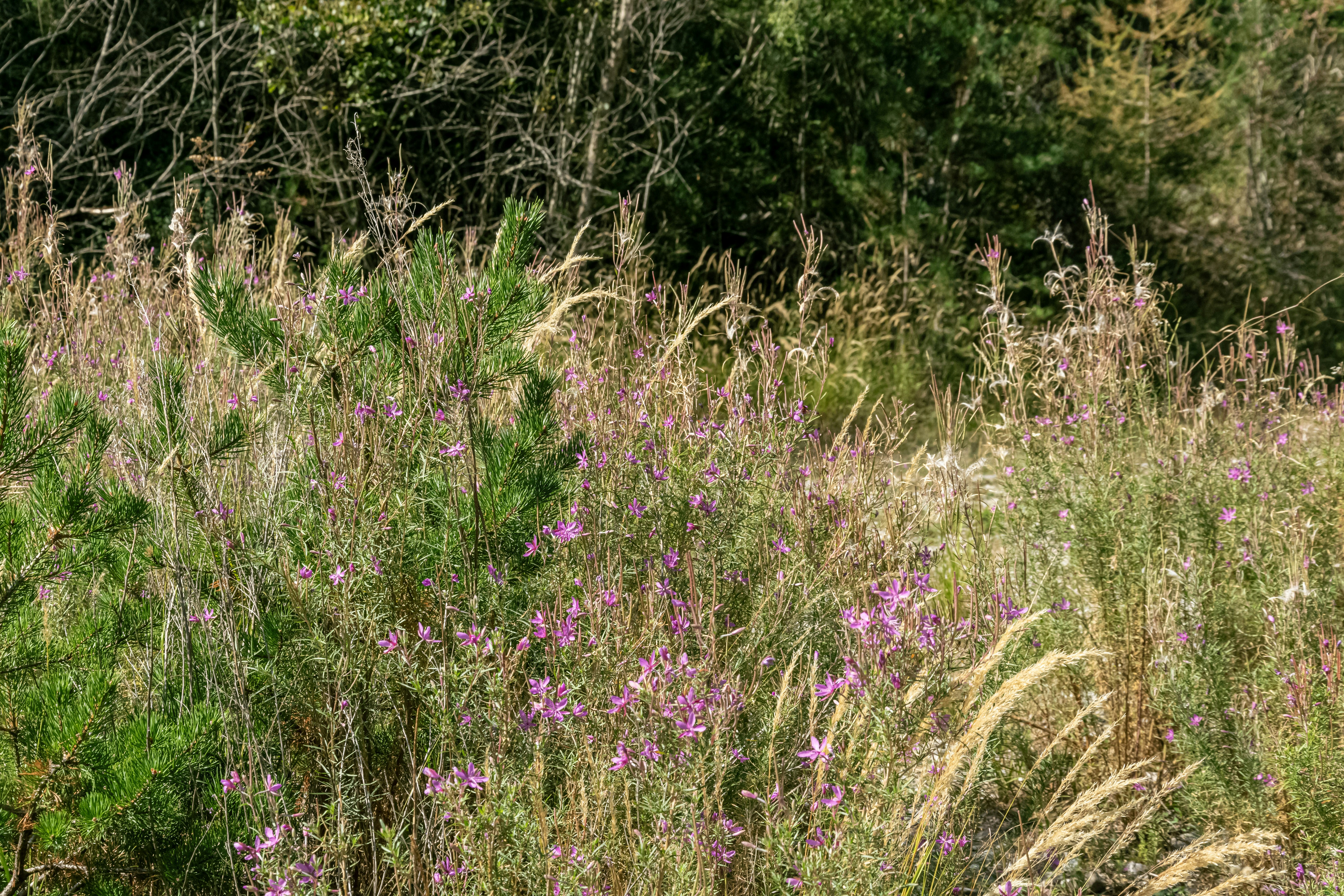 Photo by lemondeavecandrea