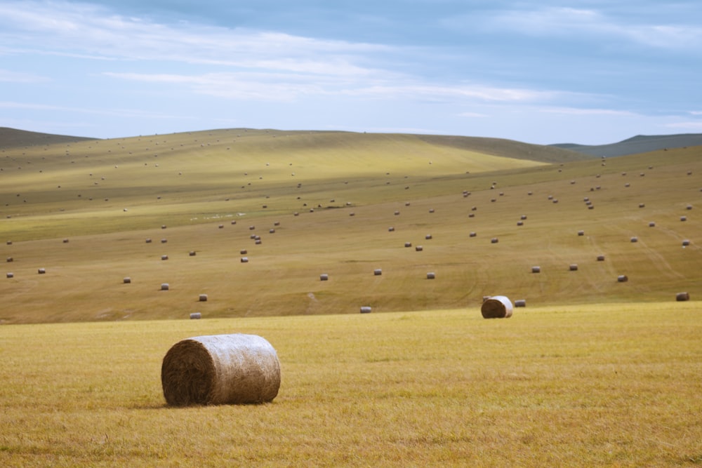 hay bales in a field with rolling hills in the background