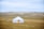 A happy couple exploring a traditional Kazakh yurt with vast steppe in the background.