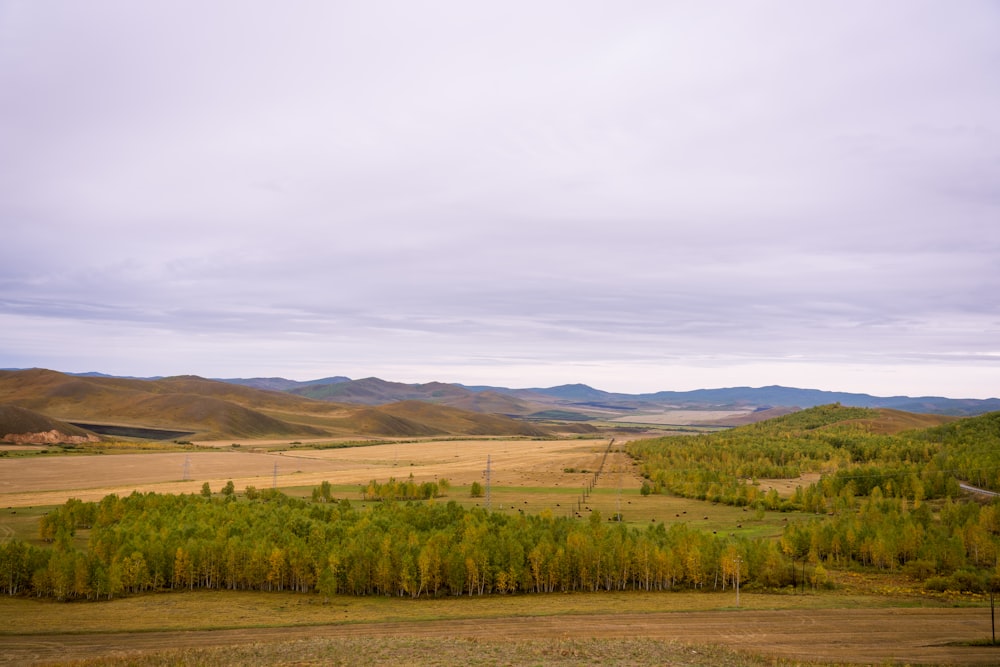 a large open field with trees and mountains in the background
