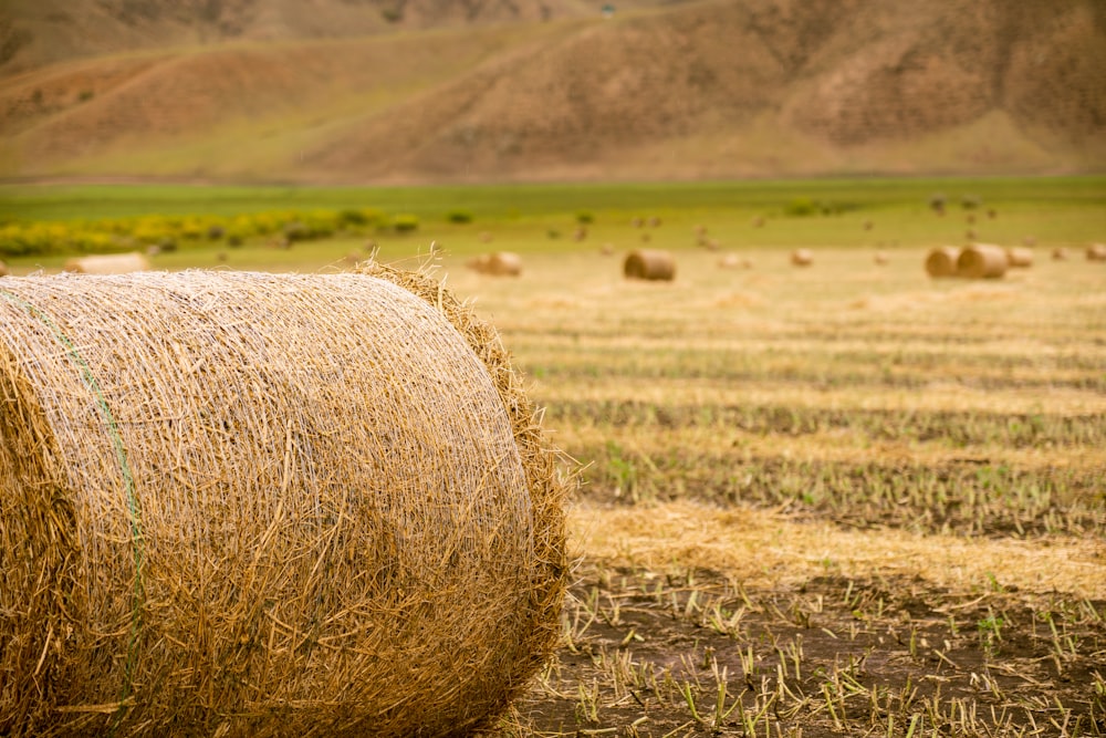 a large hay bale in a field with mountains in the background