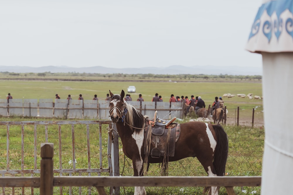 a brown and white horse standing next to a fence