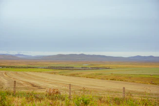 a field with a dirt road and mountains in the distance