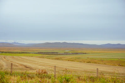 a field with a dirt road and mountains in the distance