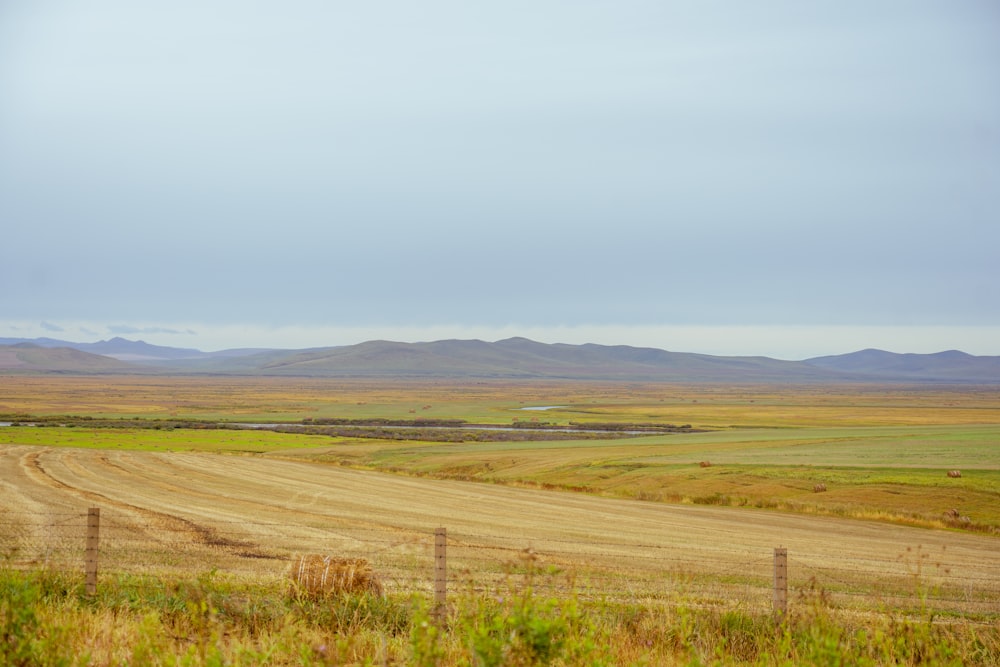 a field with a dirt road and mountains in the distance