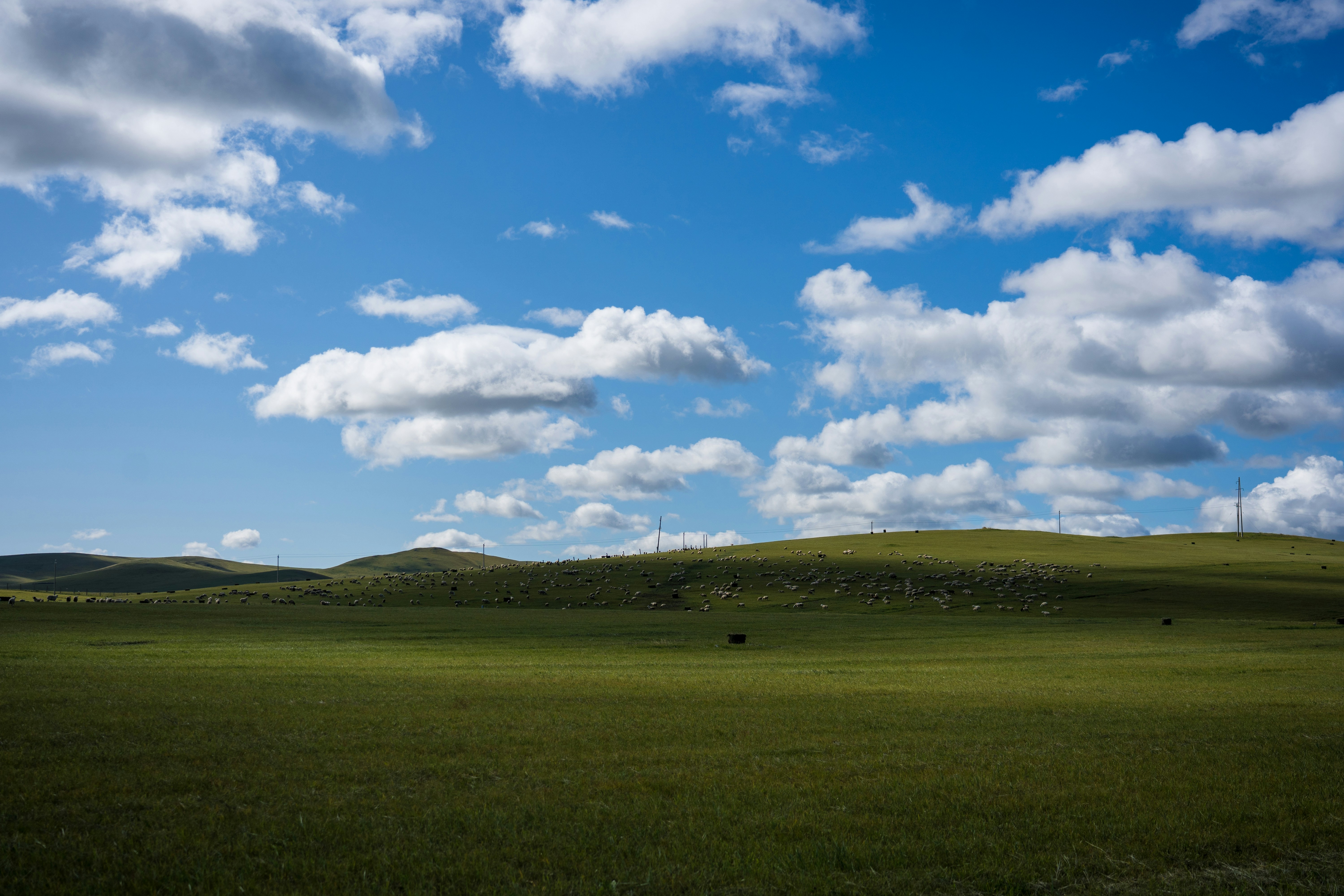 Photo by charlesmingz