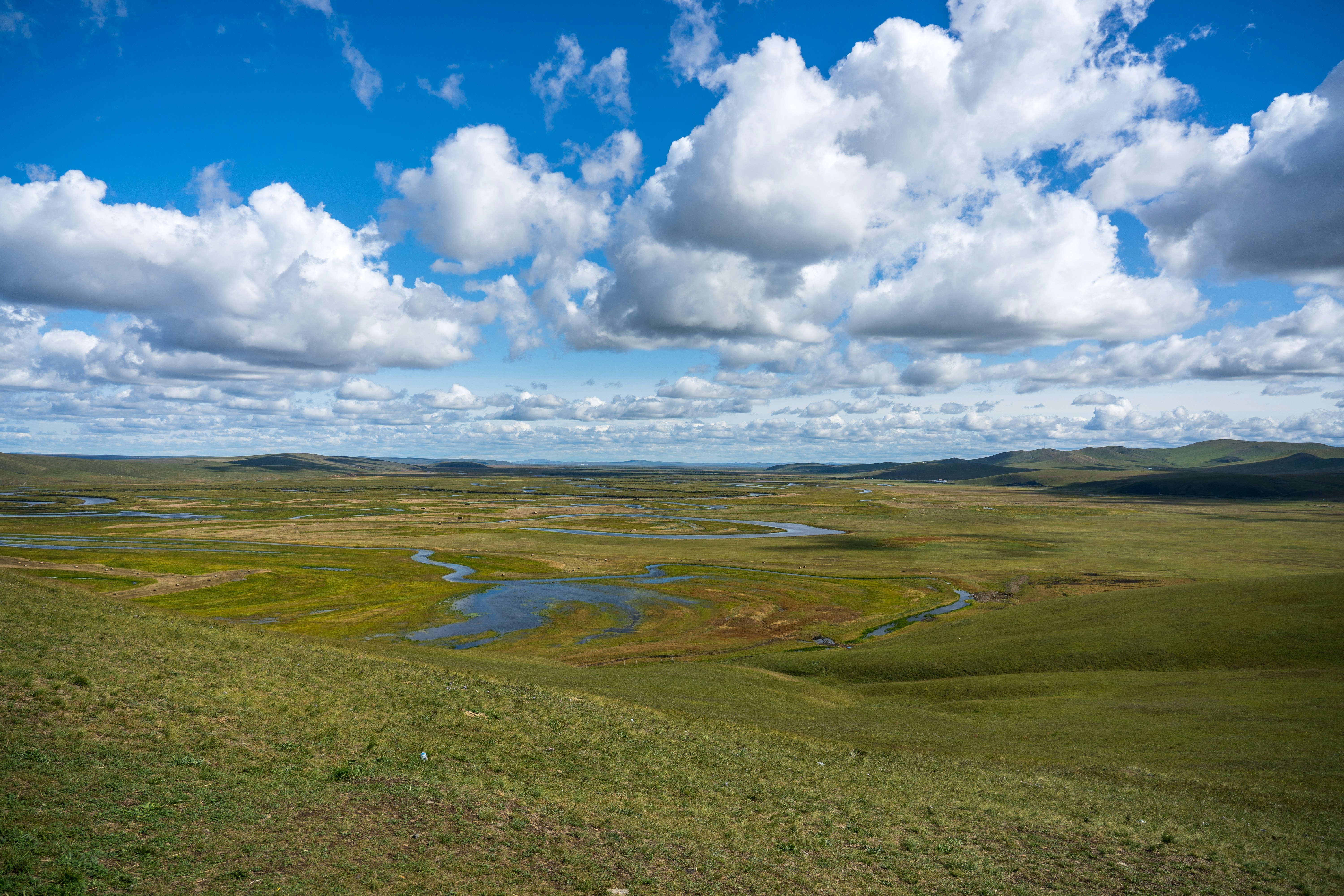 Photo by charlesmingz