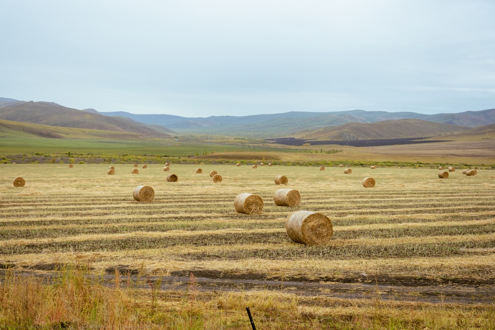 bales of hay in a field with mountains in the background