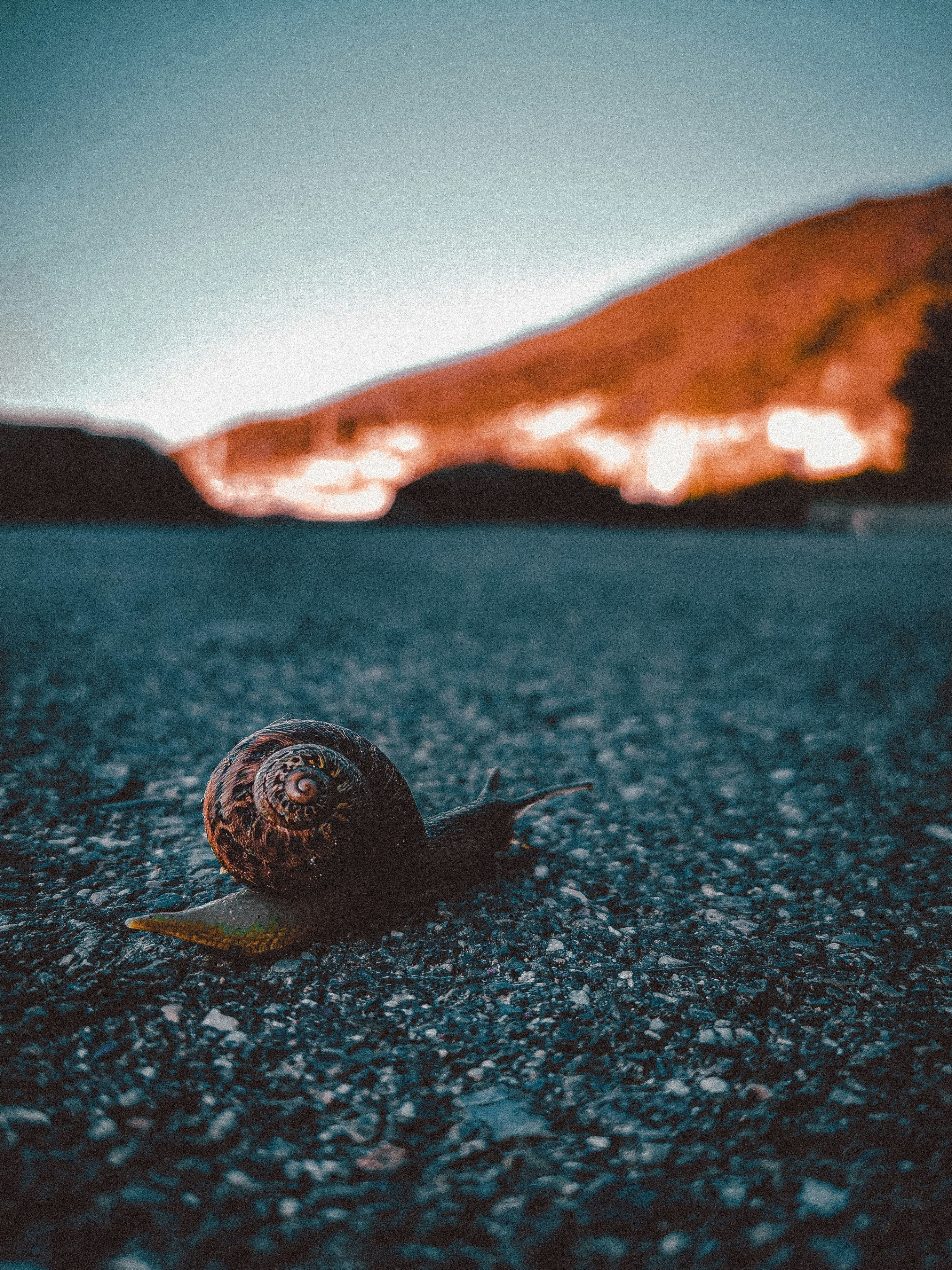 Photo by miguel_ind0