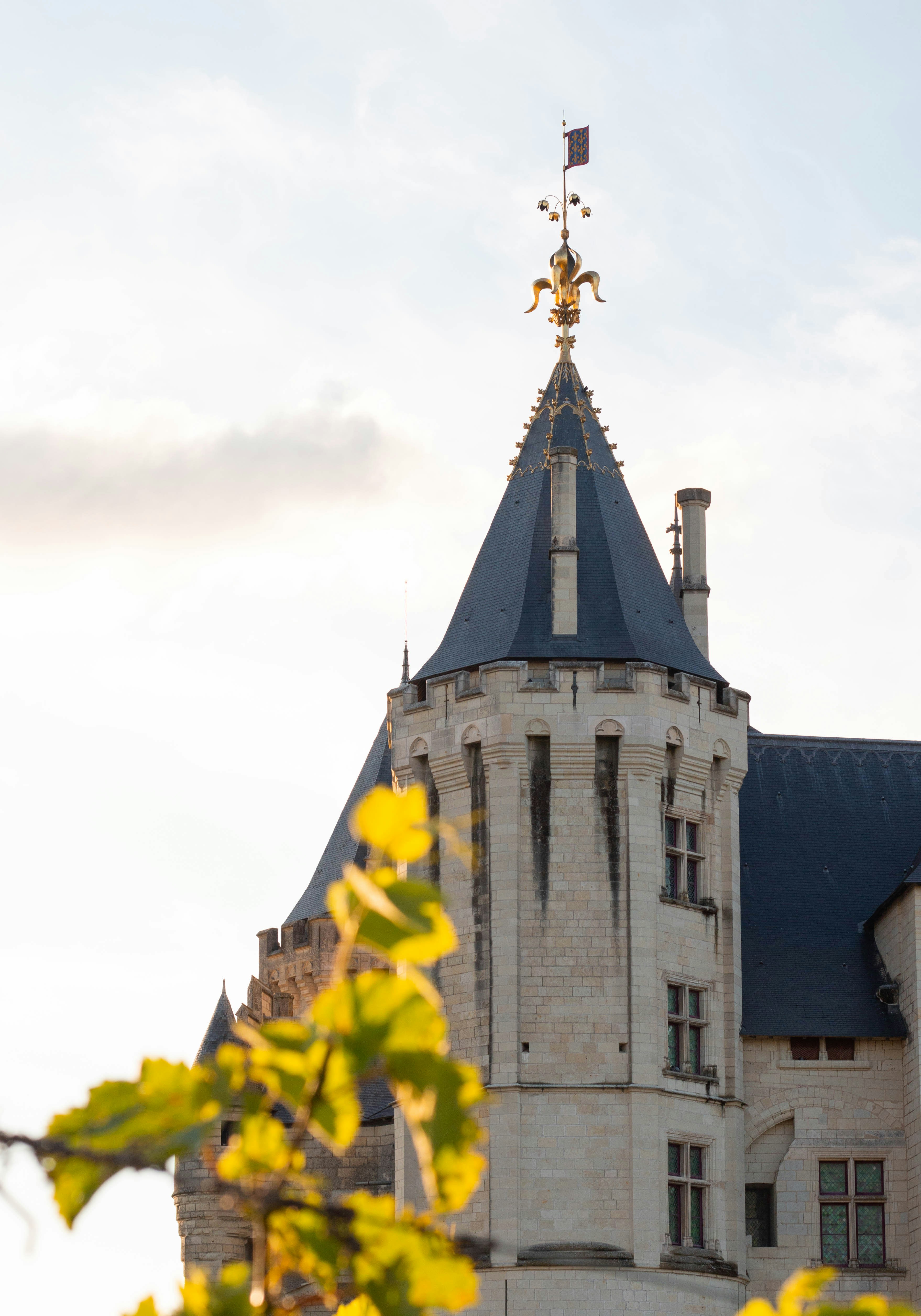 Photo by leadeleligne