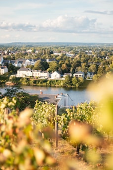a scenic view of a small town and a river