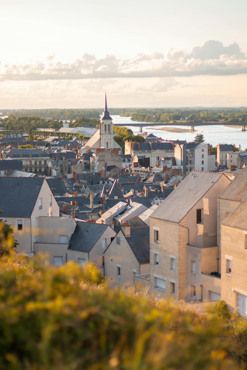 a view of a city with a river in the background