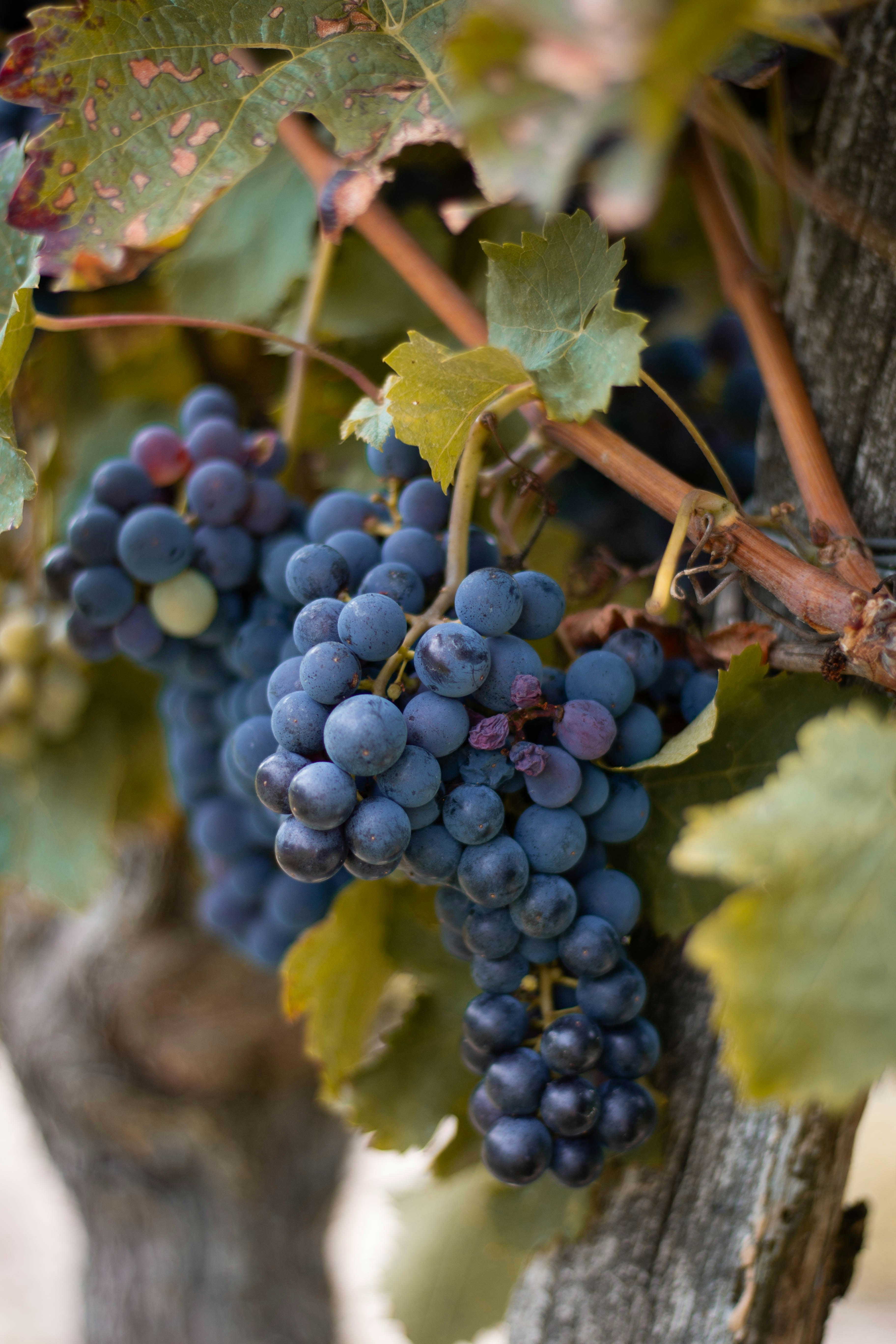 Photo by leadeleligne