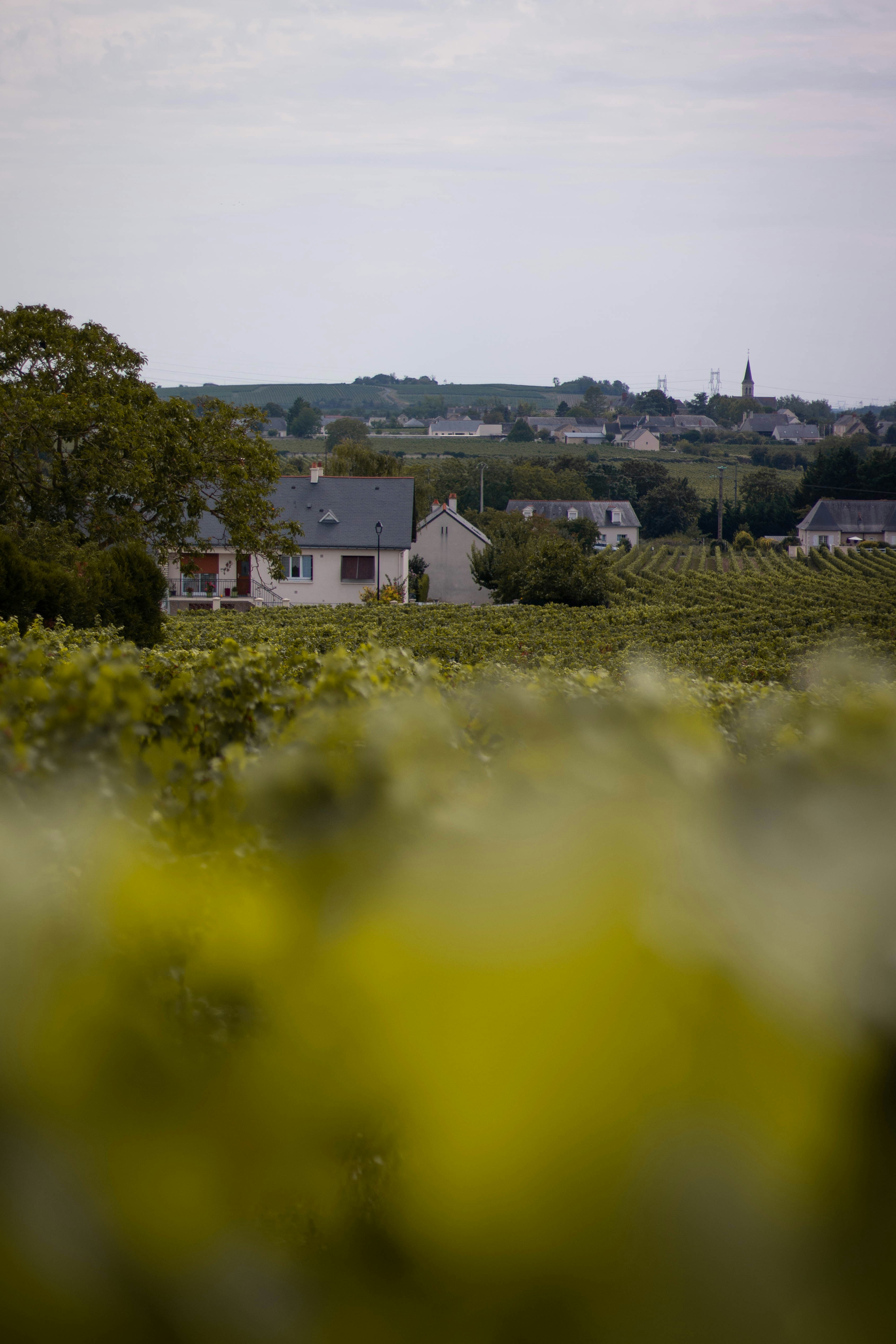 a view of a house in the distance with trees in the foreground