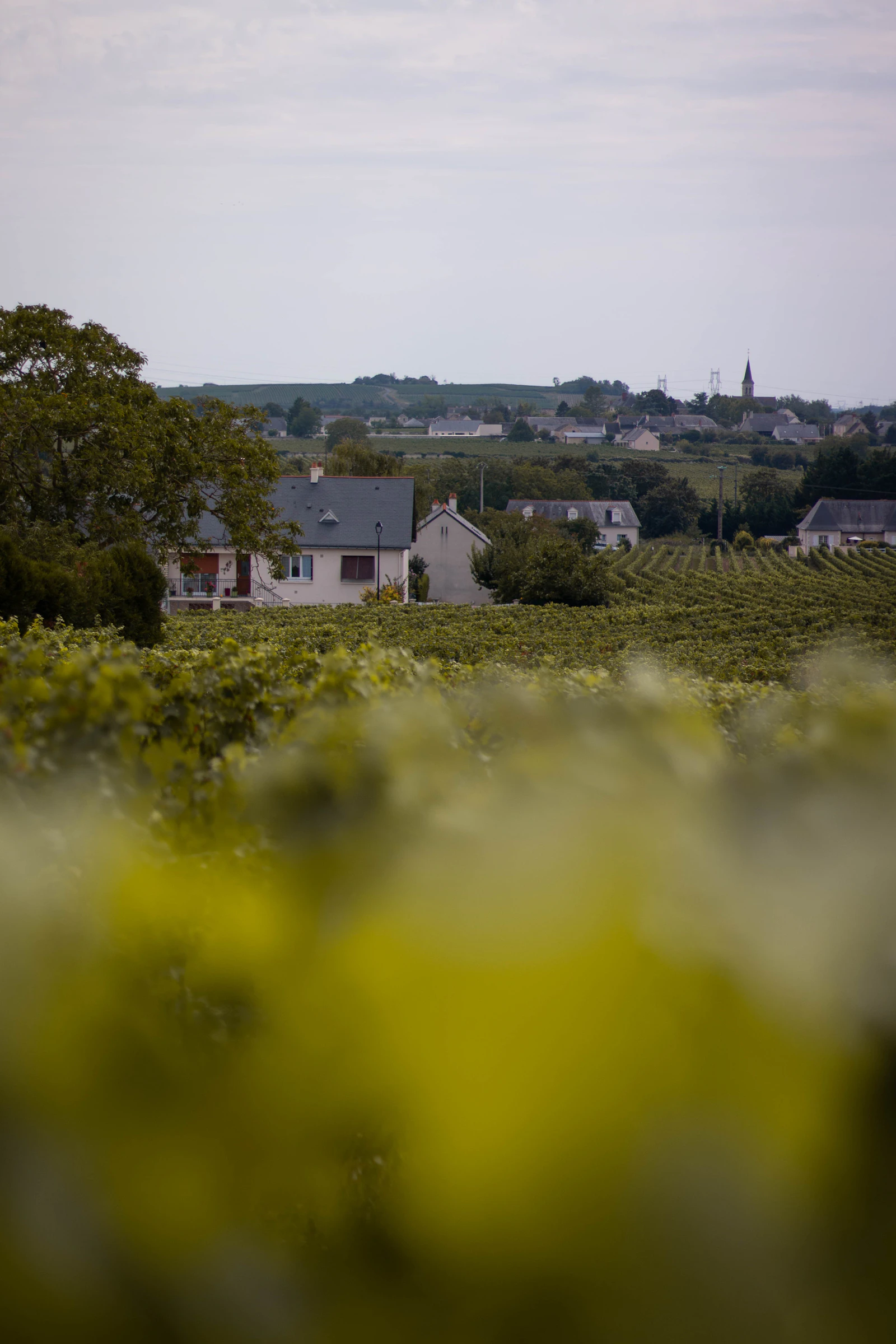 Saumur