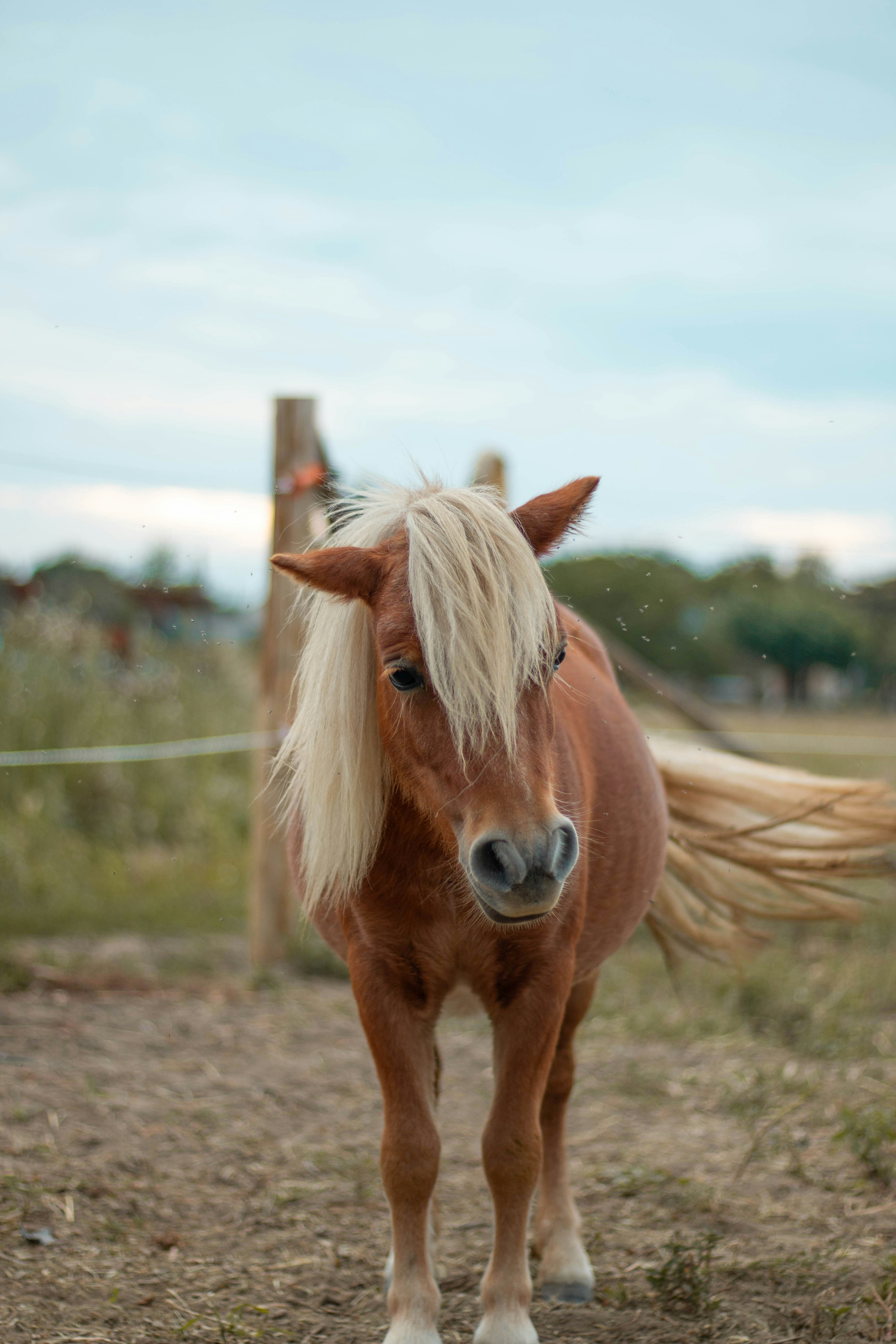 Photo by leadeleligne