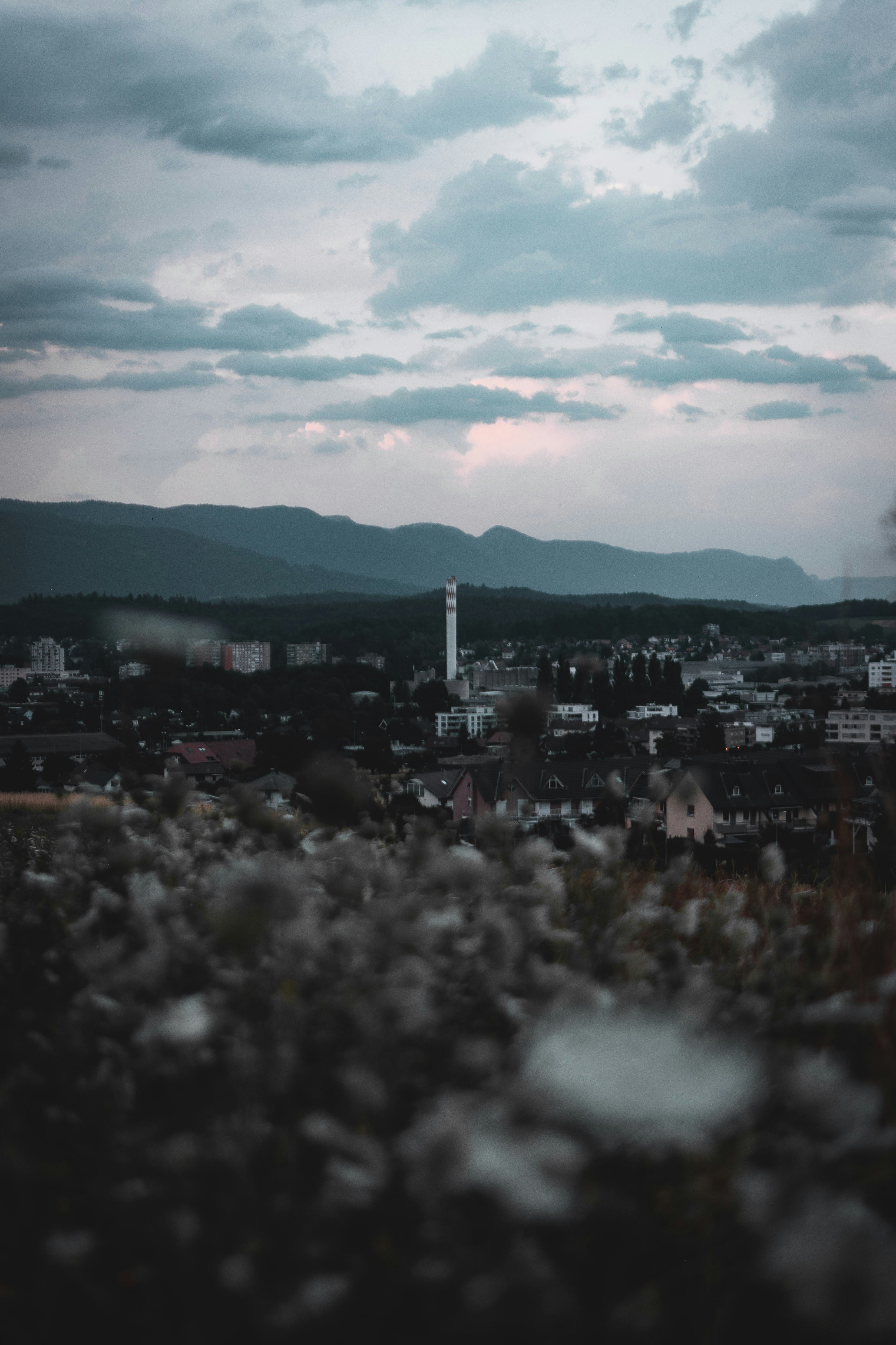 Photo by miguel_ind0