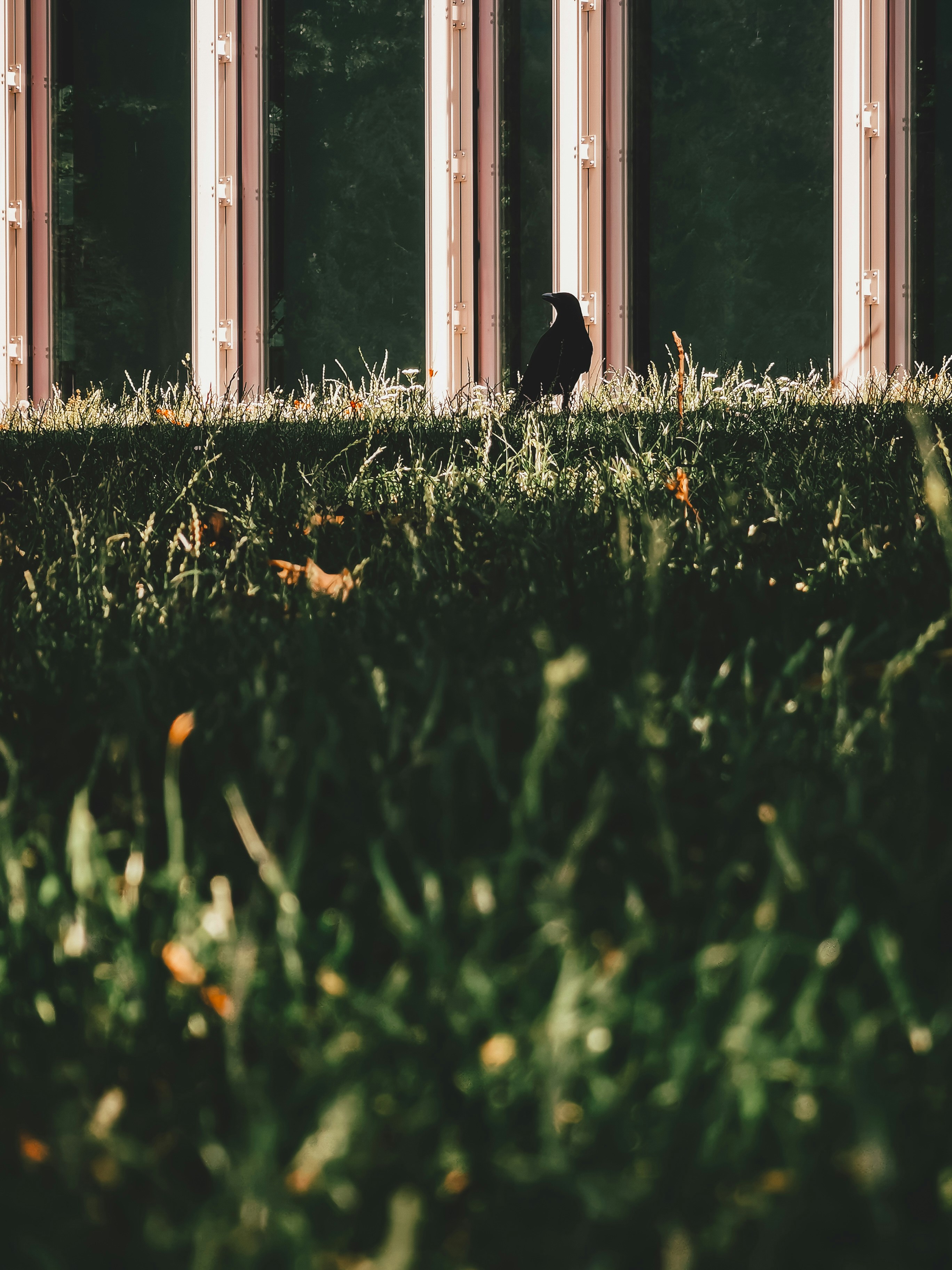 Photo by miguel_ind0