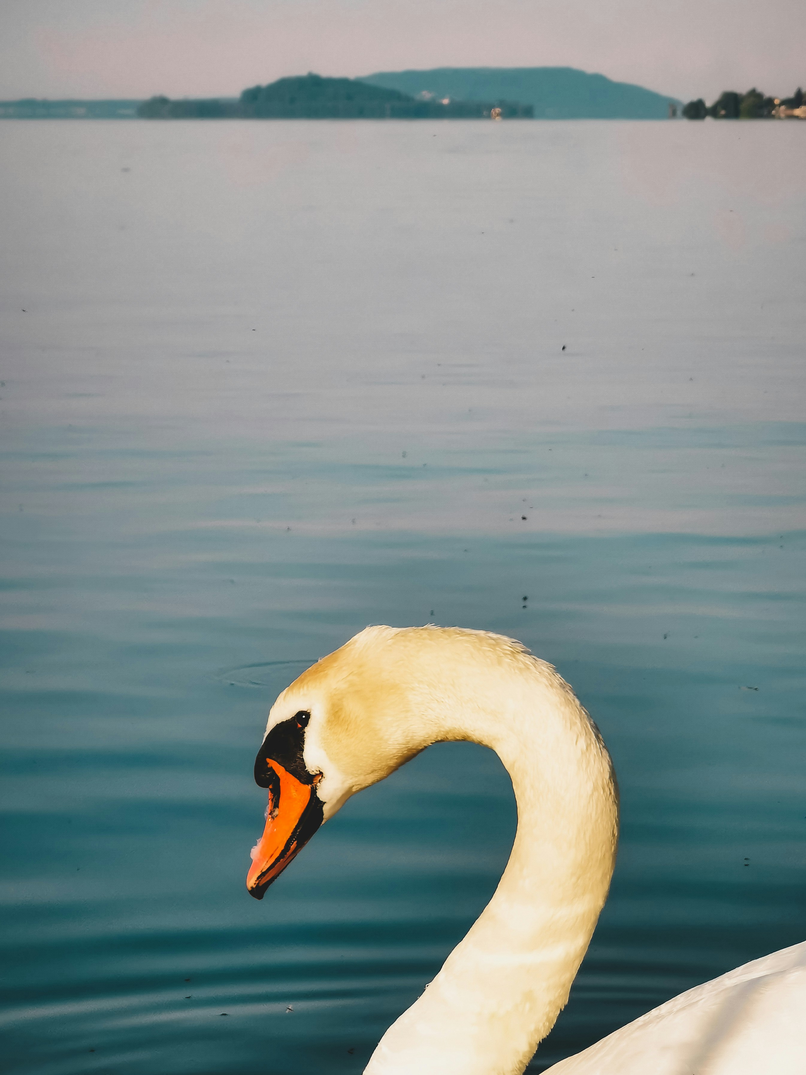 Photo by miguel_ind0