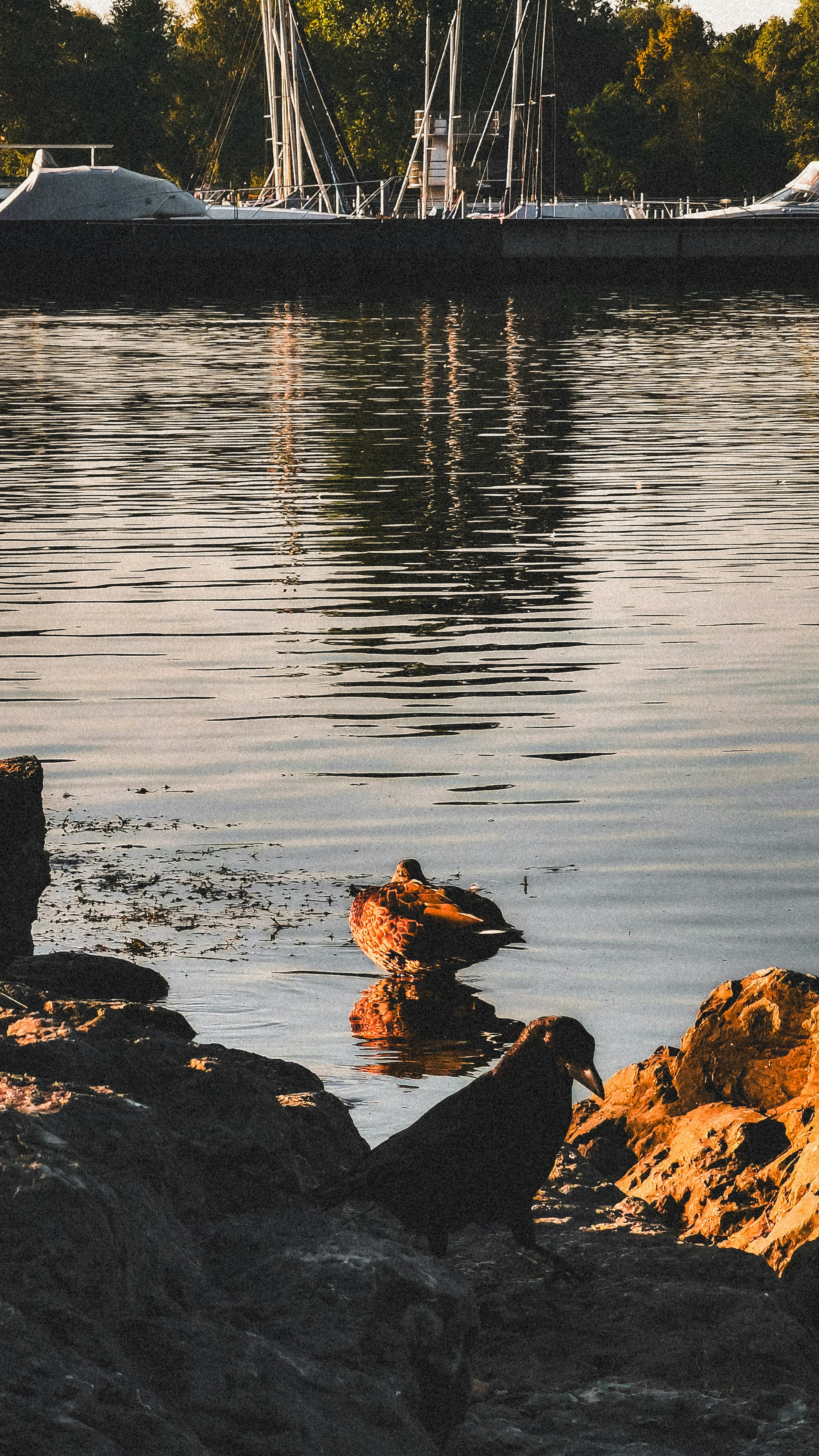 Photo by miguel_ind0