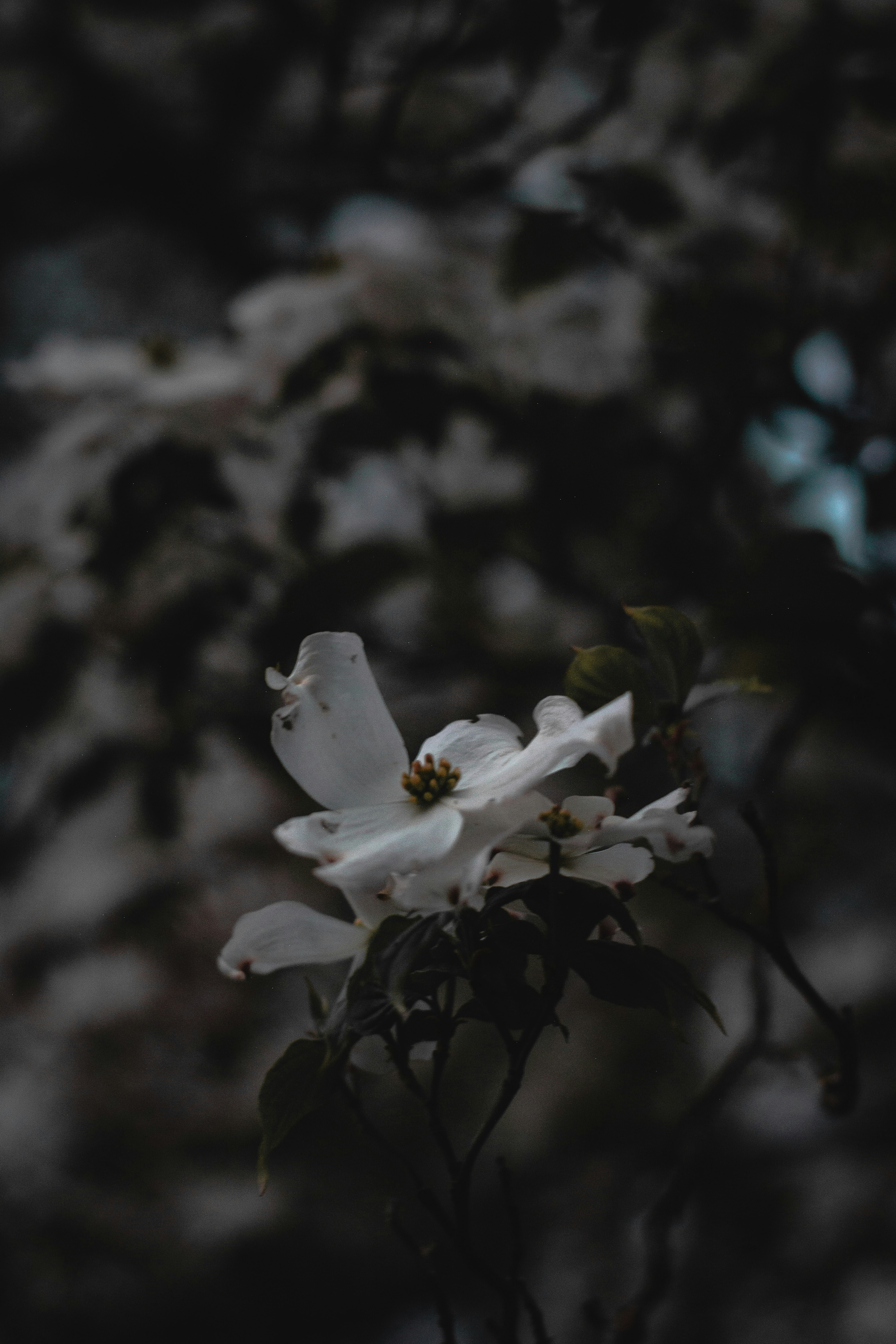 Photo by miguel_ind0