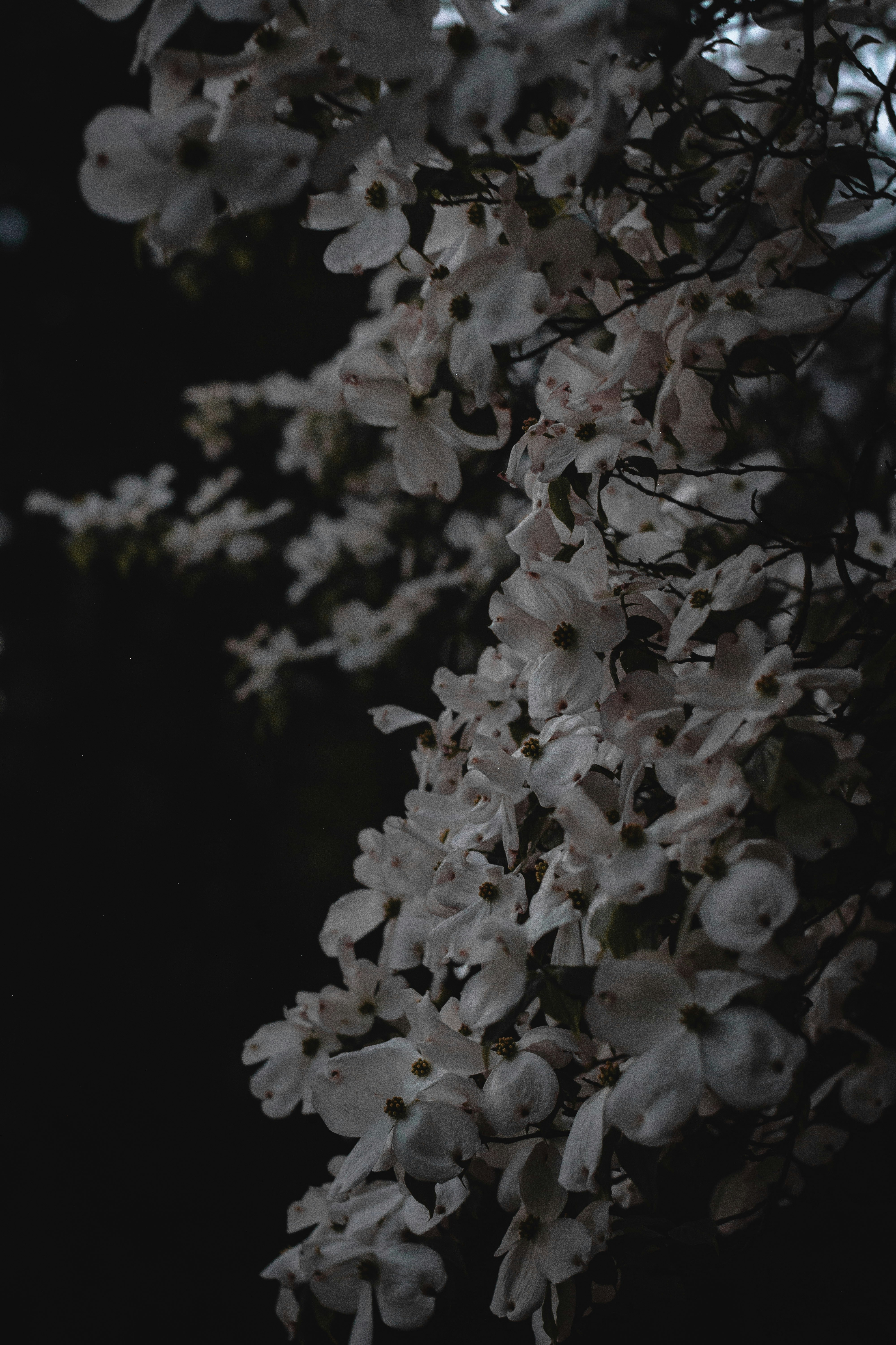 Photo by miguel_ind0