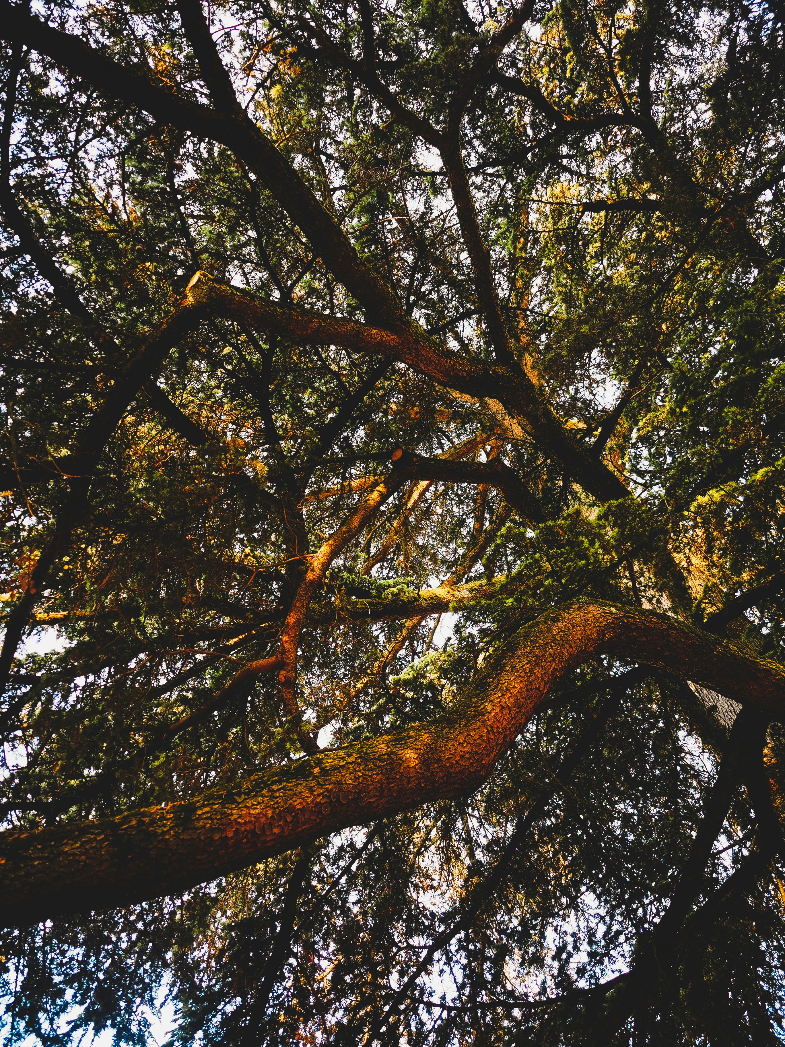 Photo by miguel_ind0